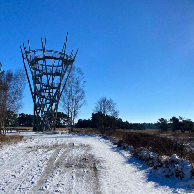 Wandelen in Noord-Brabant: Houtvesters- tot Flaestoren in Landgoed de Utrecht