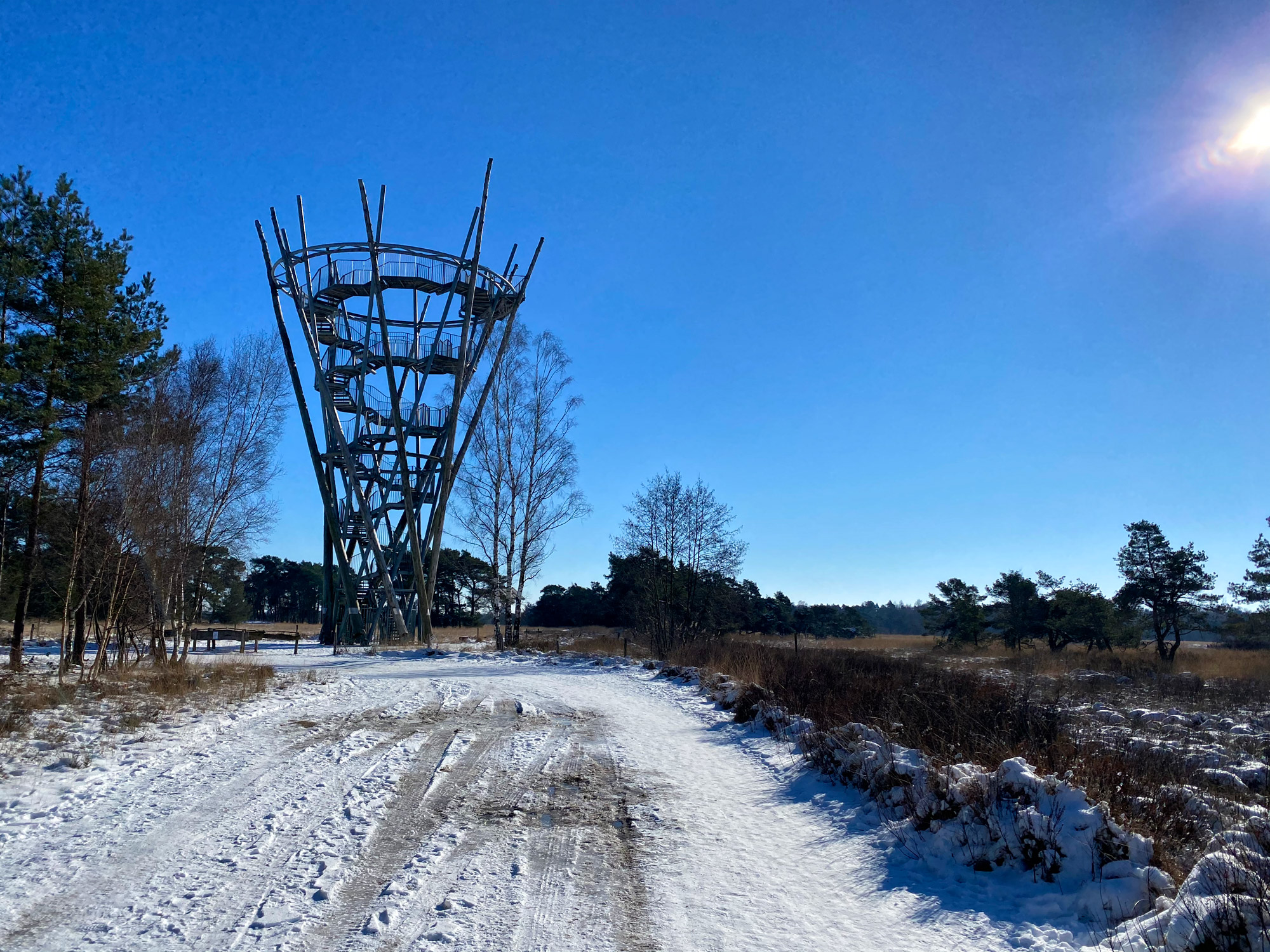 Wandelen in Noord-Brabant: Houtvesters- tot Flaestoren in Landgoed de Utrecht