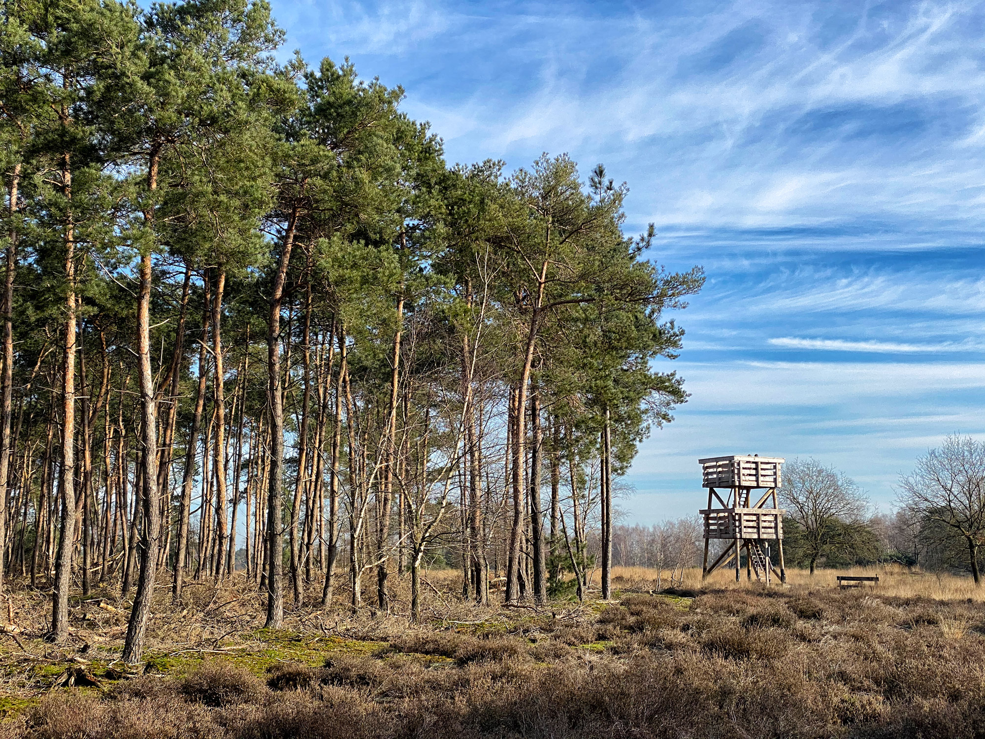 Wandelen in Noord-Brabant: De Stippelberg