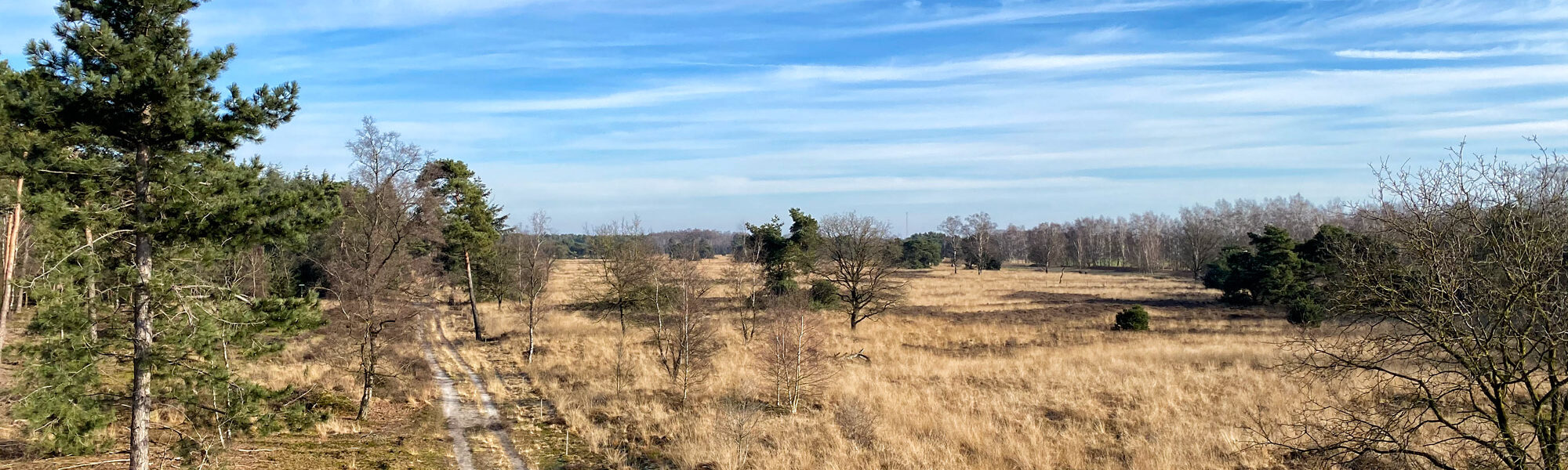 Wandelen in Noord-Brabant: De Stippelberg