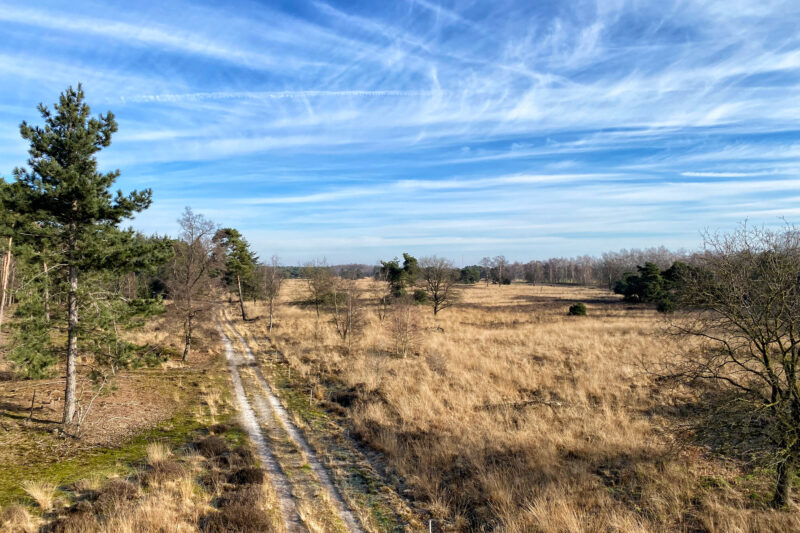 Wandelen in Noord-Brabant: De Stippelberg