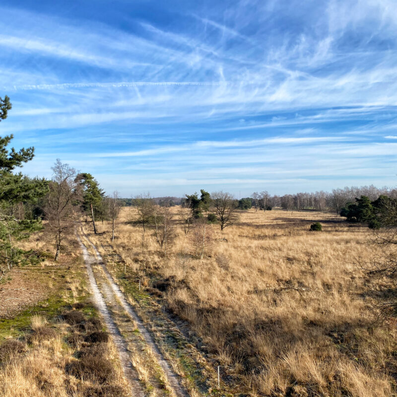 Wandelen in Noord-Brabant: De Stippelberg (blauwe route)
