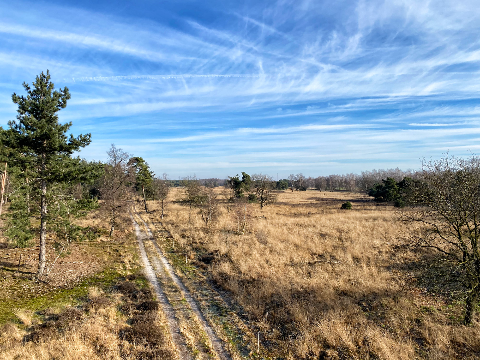 Wandelen in Noord-Brabant: De Stippelberg