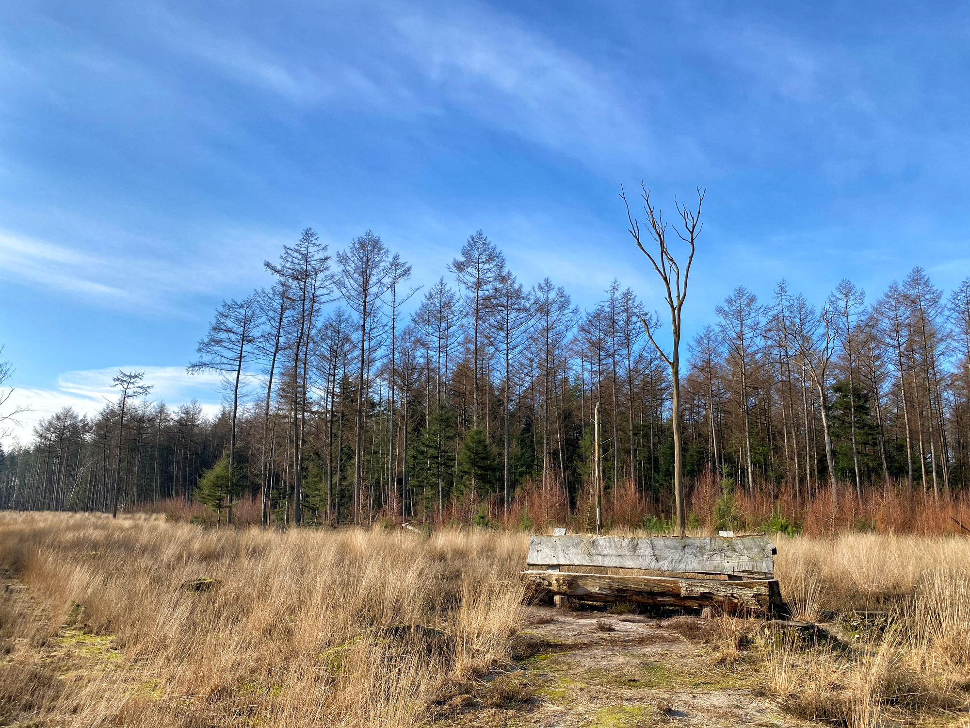 Wandelen in Noord-Brabant: De Stippelberg