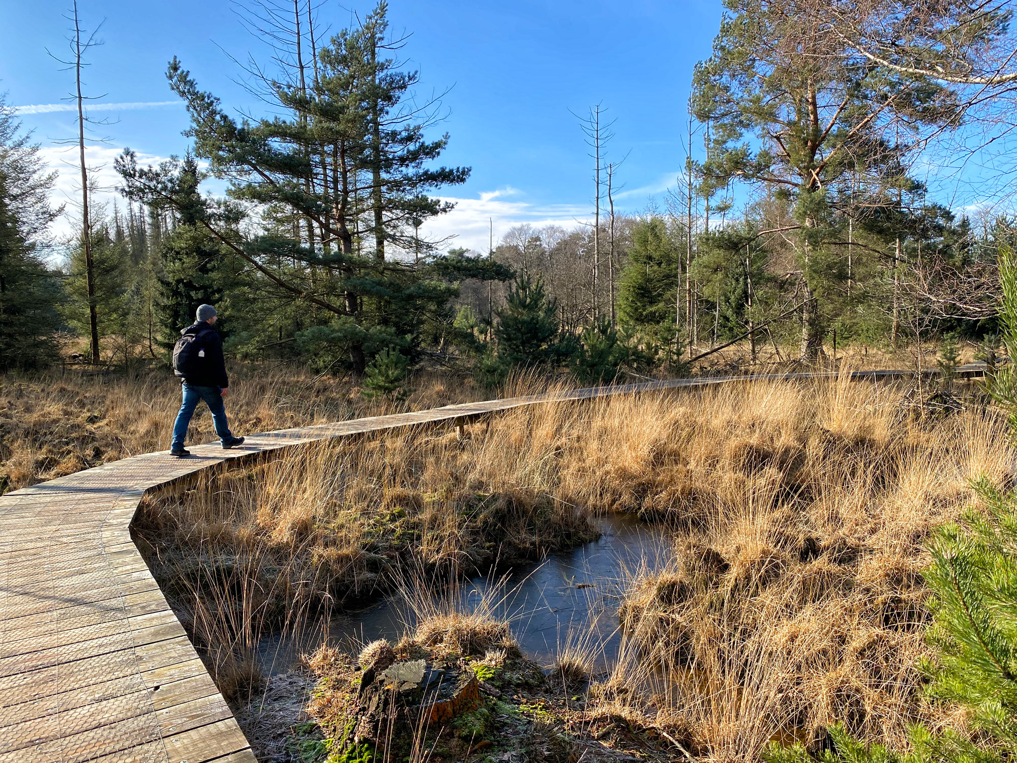 Wandelen in Noord-Brabant: De Stippelberg