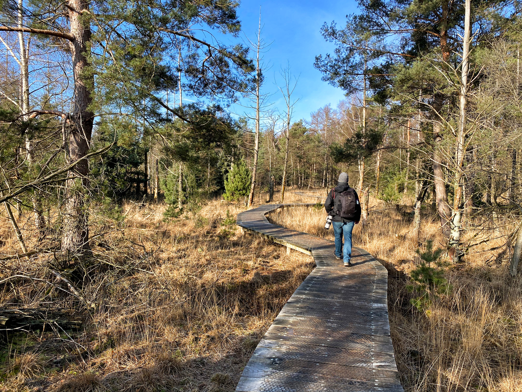 Wandelen in Noord-Brabant: De Stippelberg