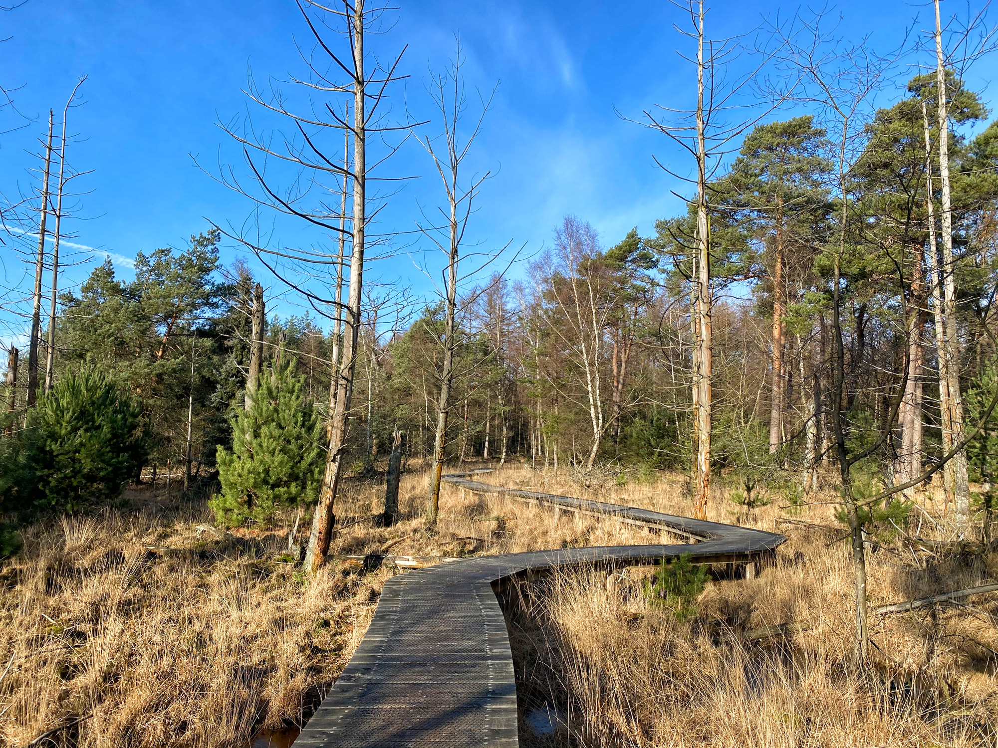 Wandelen in Noord-Brabant: De Stippelberg