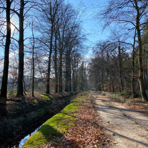 Wandelen in Noord-Brabant: De Stippelberg