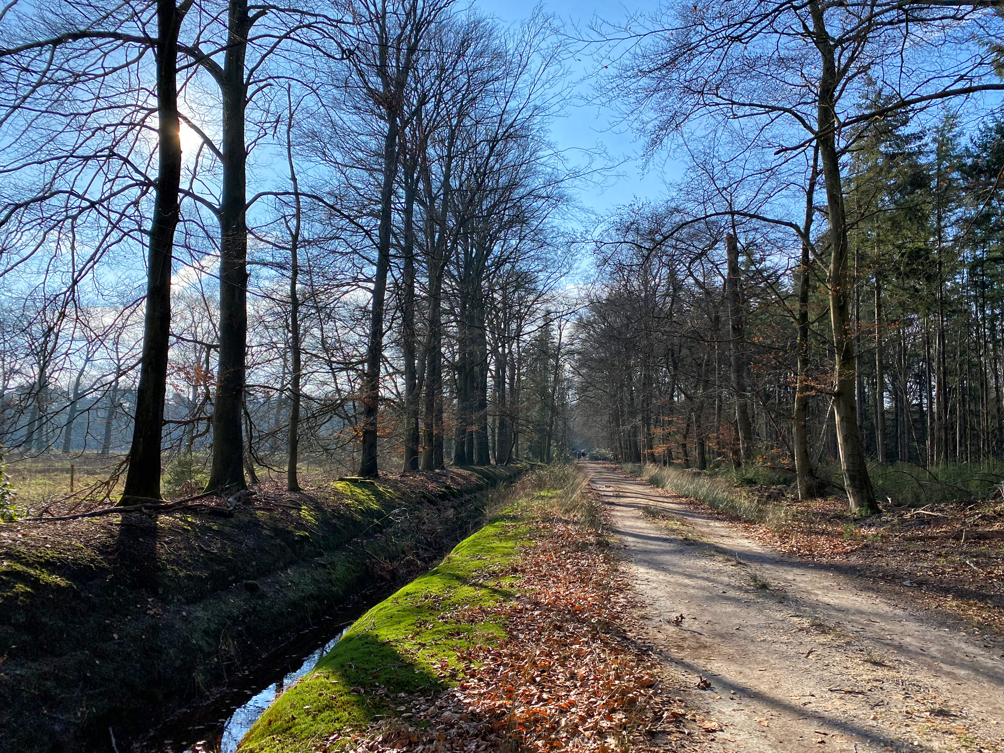 Wandelen in Noord-Brabant: De Stippelberg