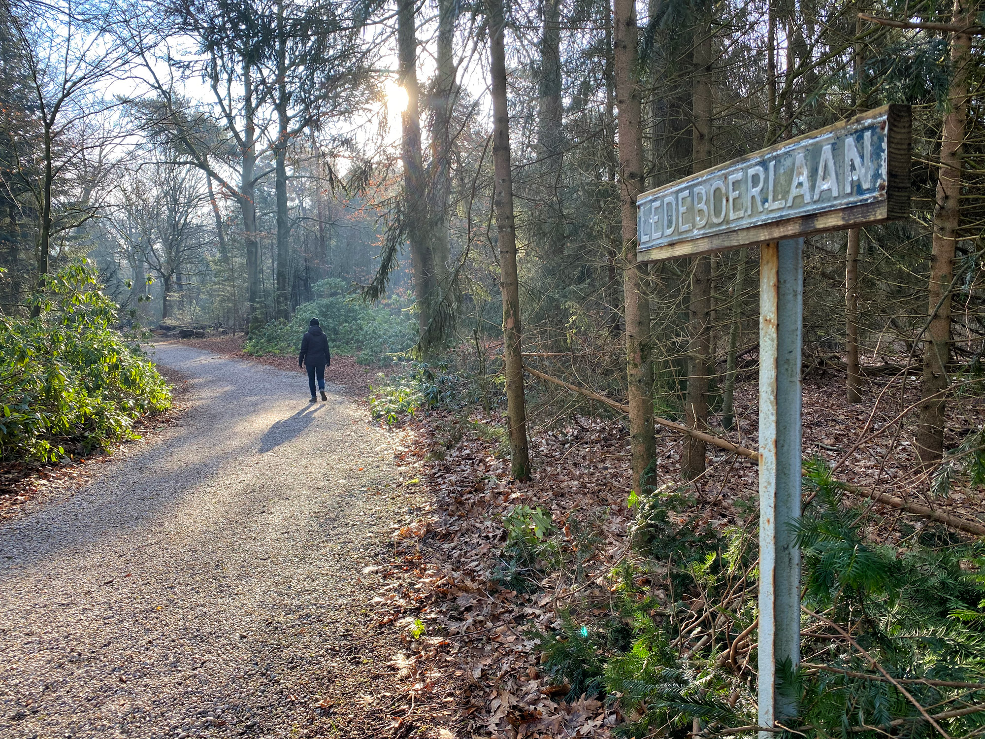 Wandelen in Noord-Brabant: De Stippelberg