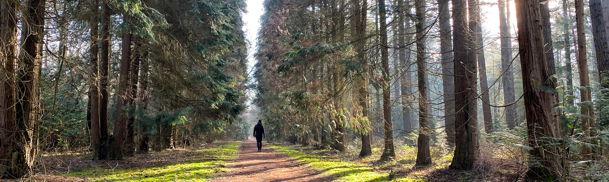 Wandelen in Noord-Brabant: De Stippelberg