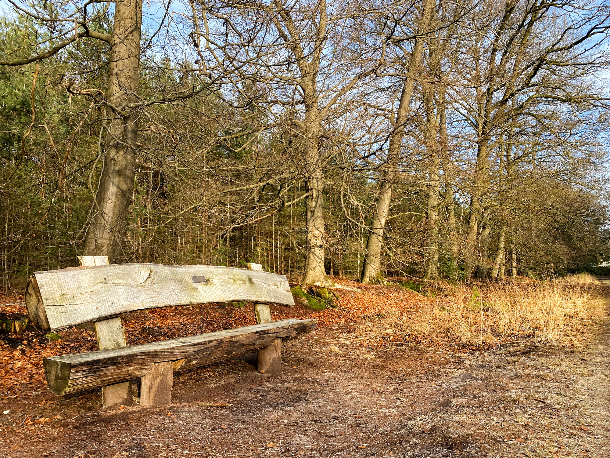 Wandelen in Noord-Brabant: De Stippelberg