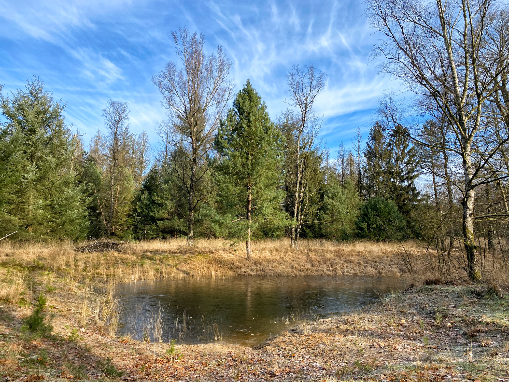 Wandelen in Noord-Brabant: De Stippelberg