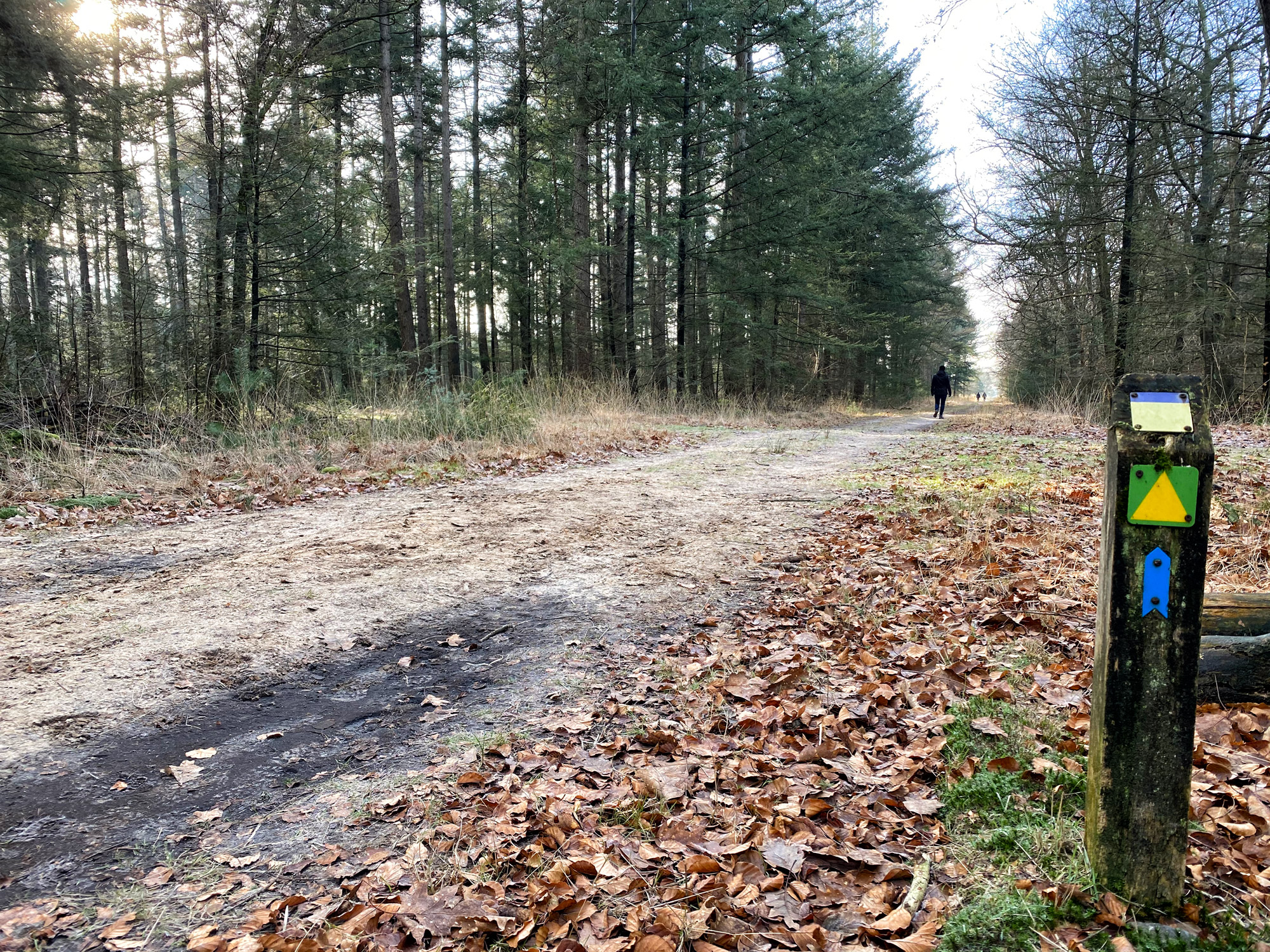 Wandelen in Noord-Brabant: De Stippelberg