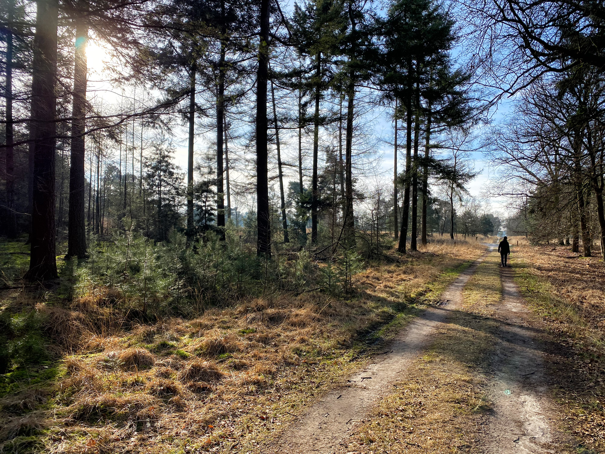 Wandelen in Noord-Brabant: De Stippelberg