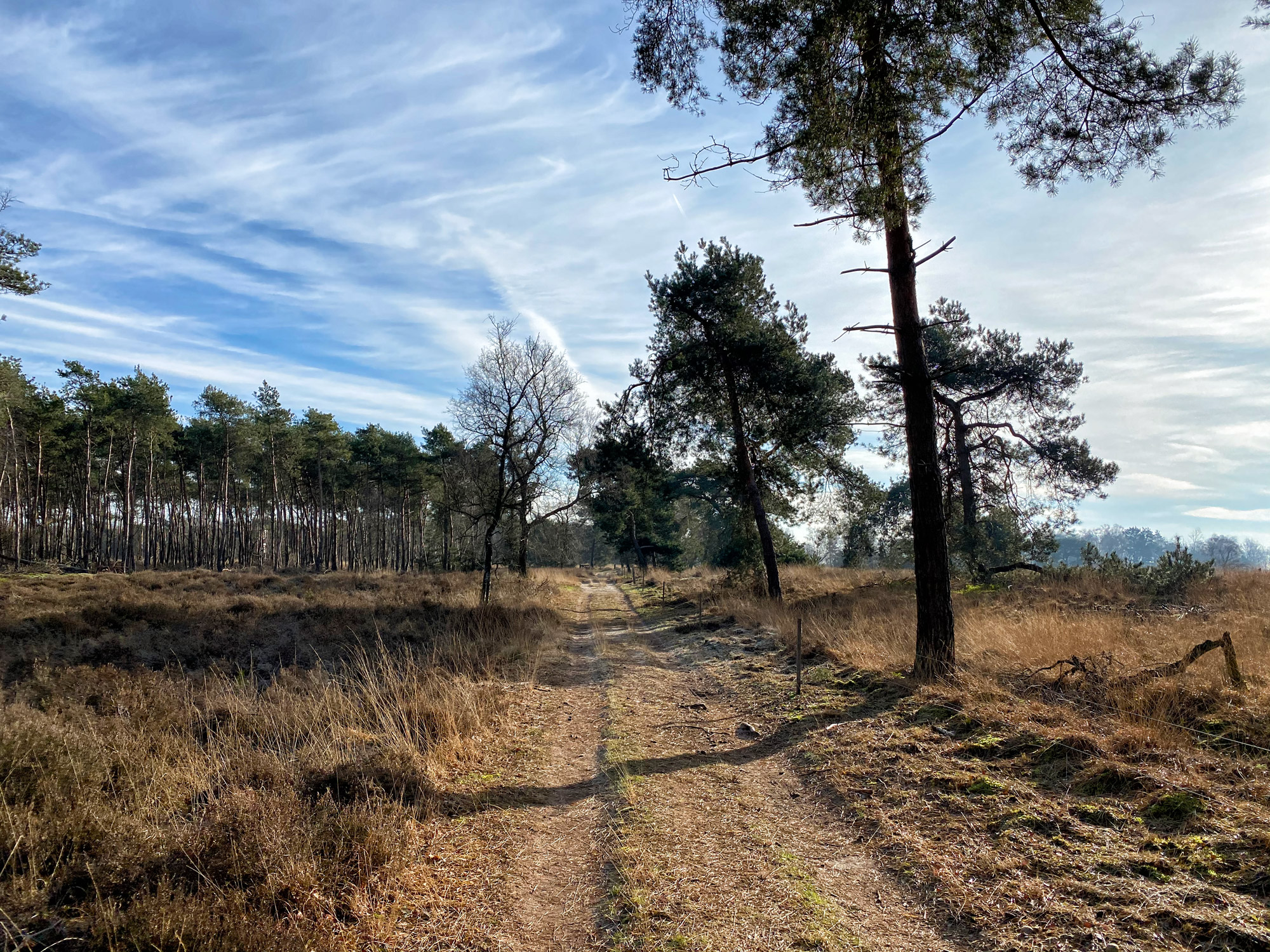 Wandelen in Noord-Brabant: De Stippelberg