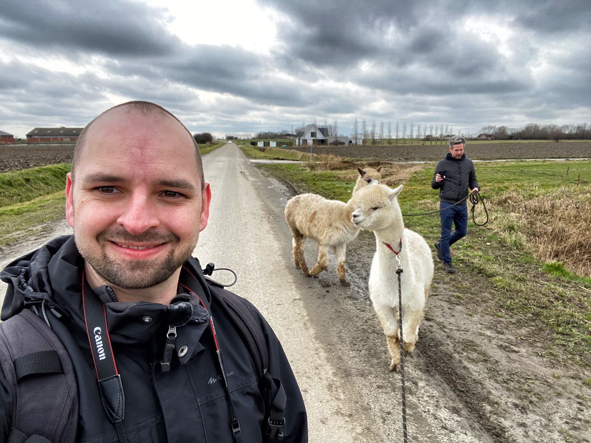 Wandelen met Alpaca's in Zaamslag