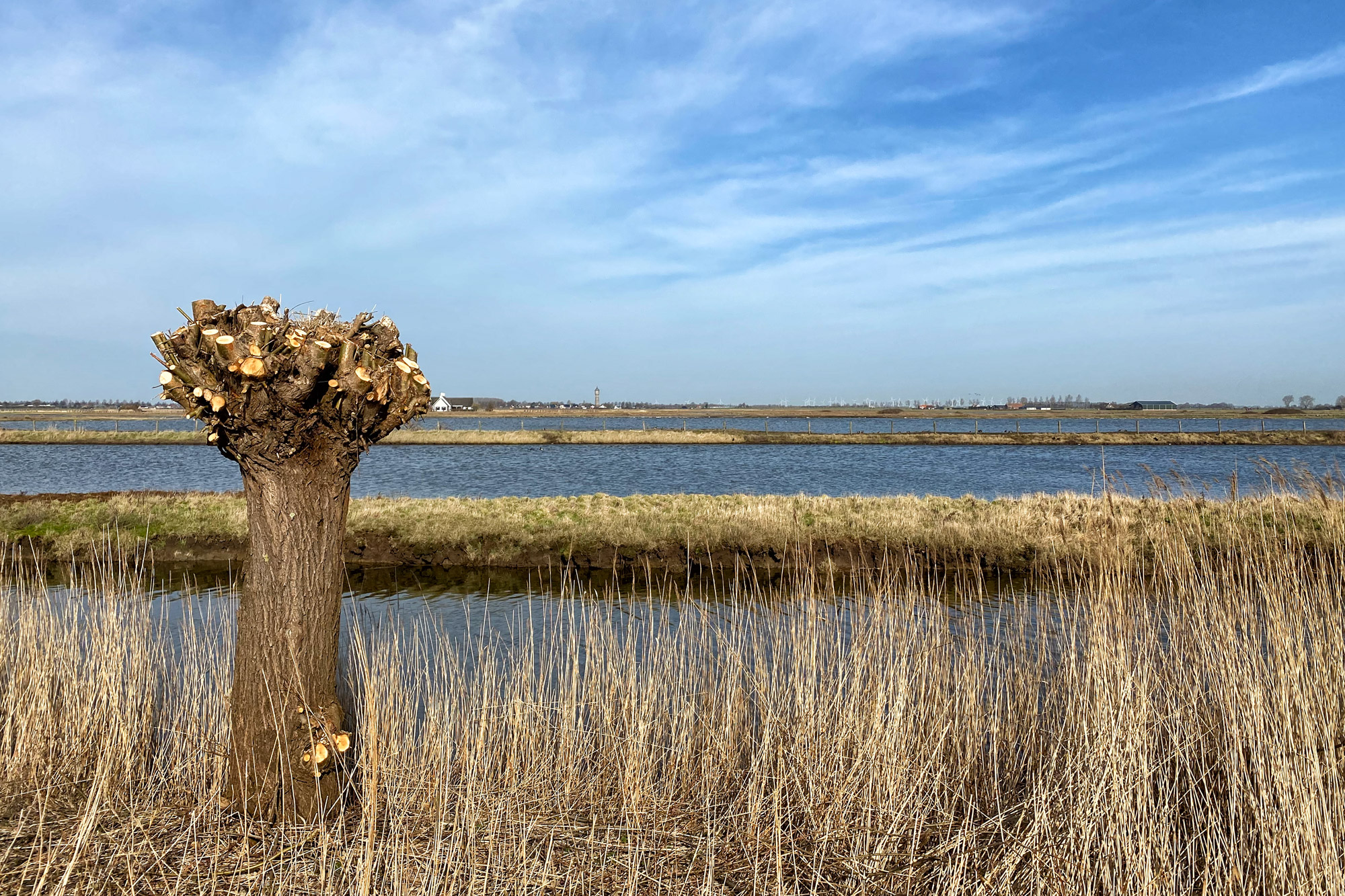 Wandelen in Zeeland - Rondje Sint-Maartensdijk