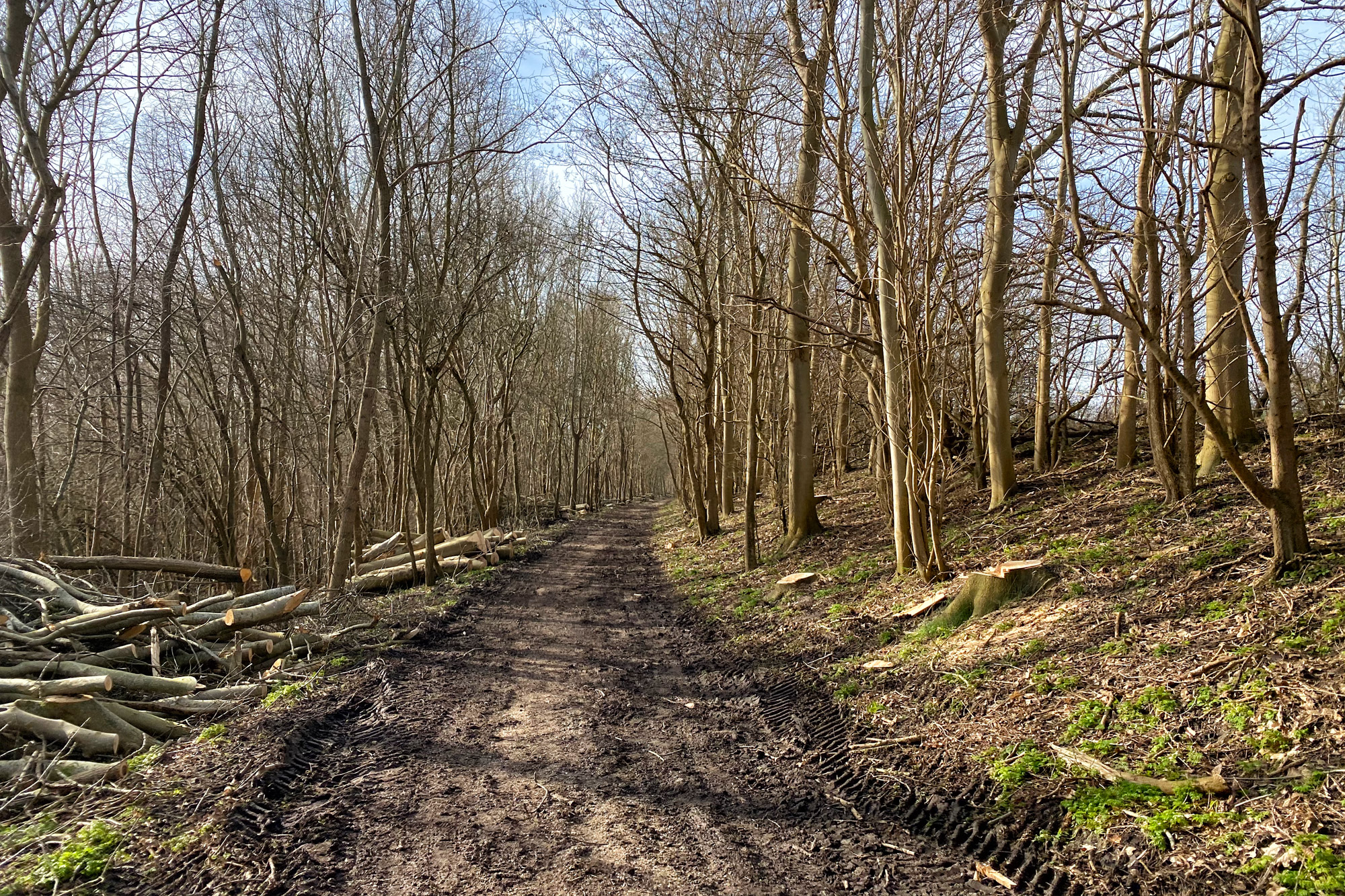 Wandelen in Zeeland - Rondje Sint-Maartensdijk