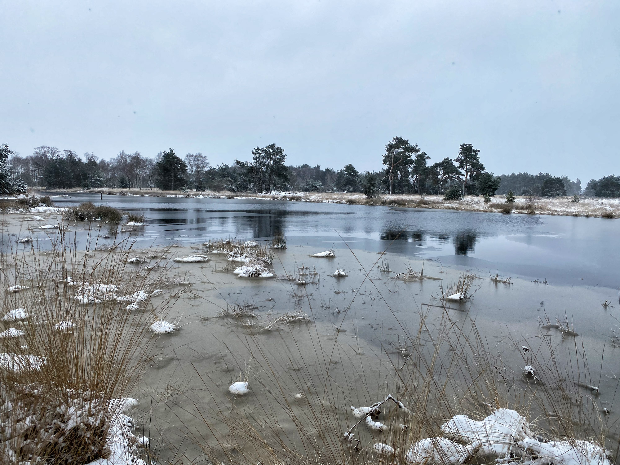 Wandelen in Noord-Brabant: Heide en vennen route in Geldrop-Mierlo, in de sneeuw