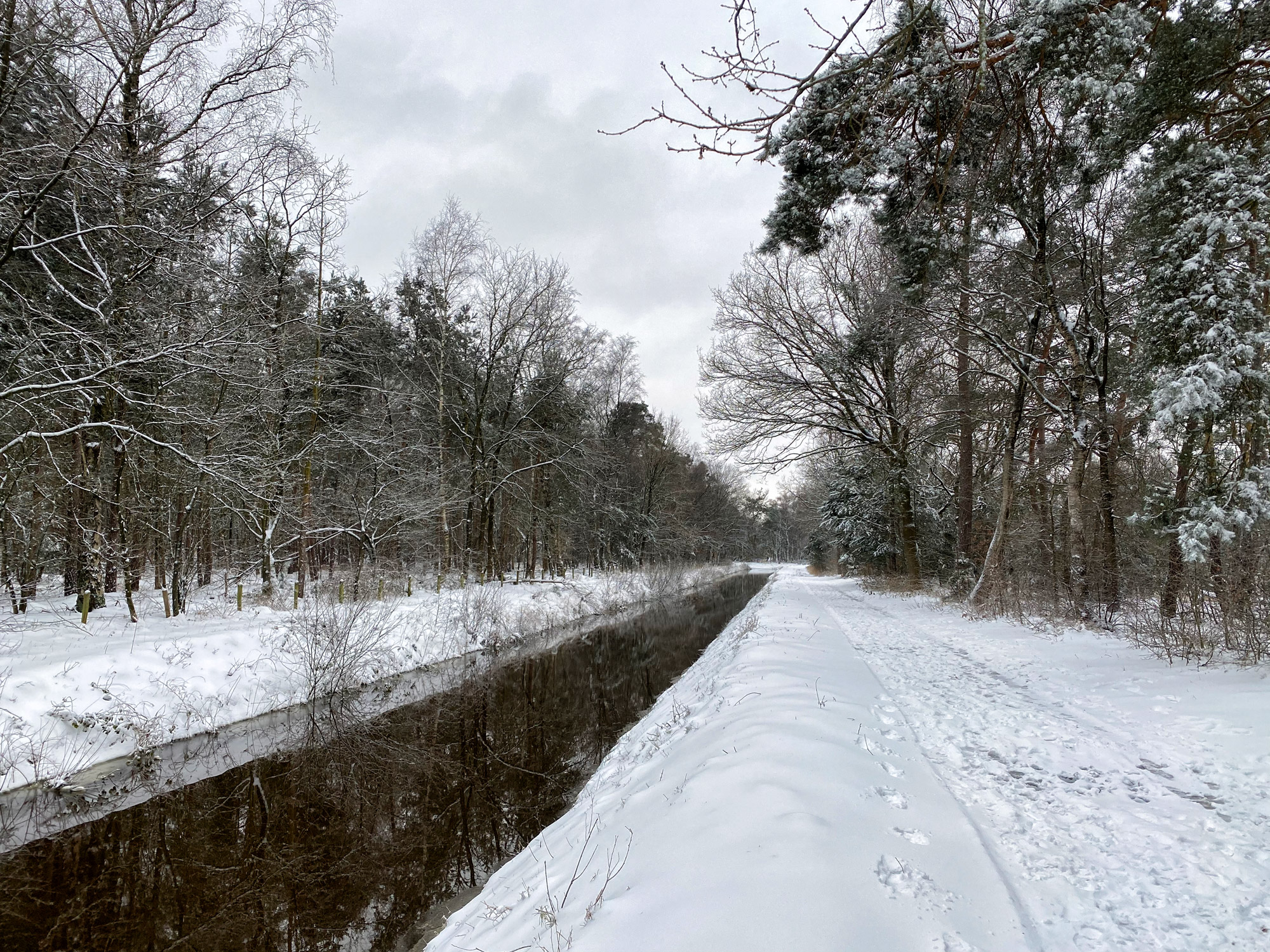 Wandelen in Noord-Brabant: Heide en vennen route in Geldrop-Mierlo, in de sneeuw