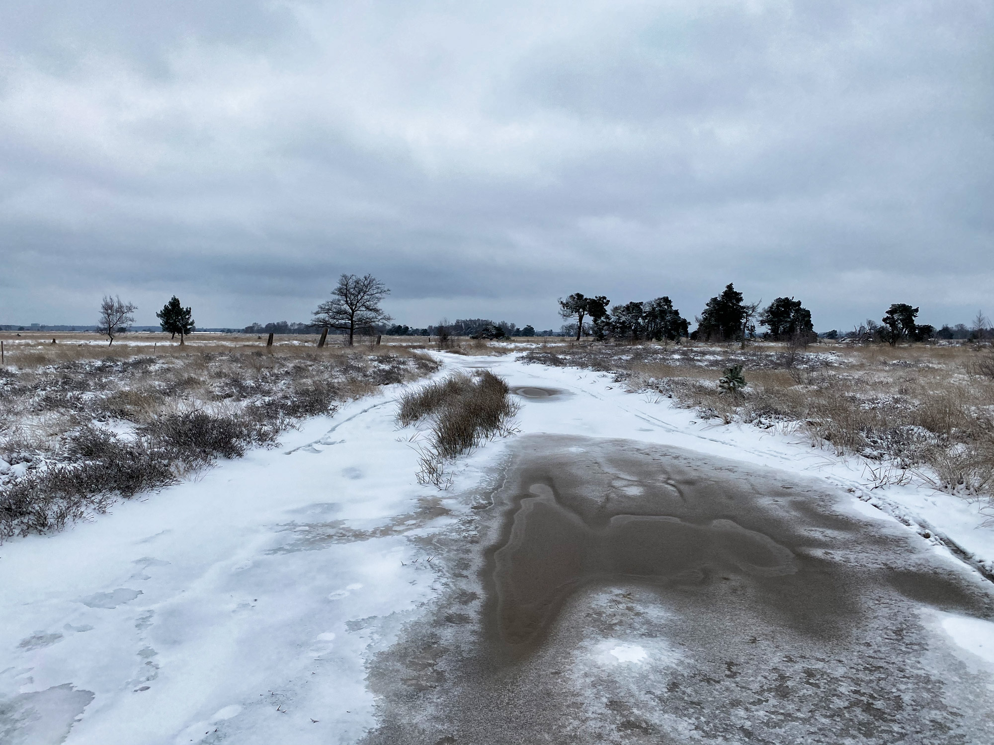 Wandelen in Noord-Brabant: Heide en vennen route in Geldrop-Mierlo, in de sneeuw