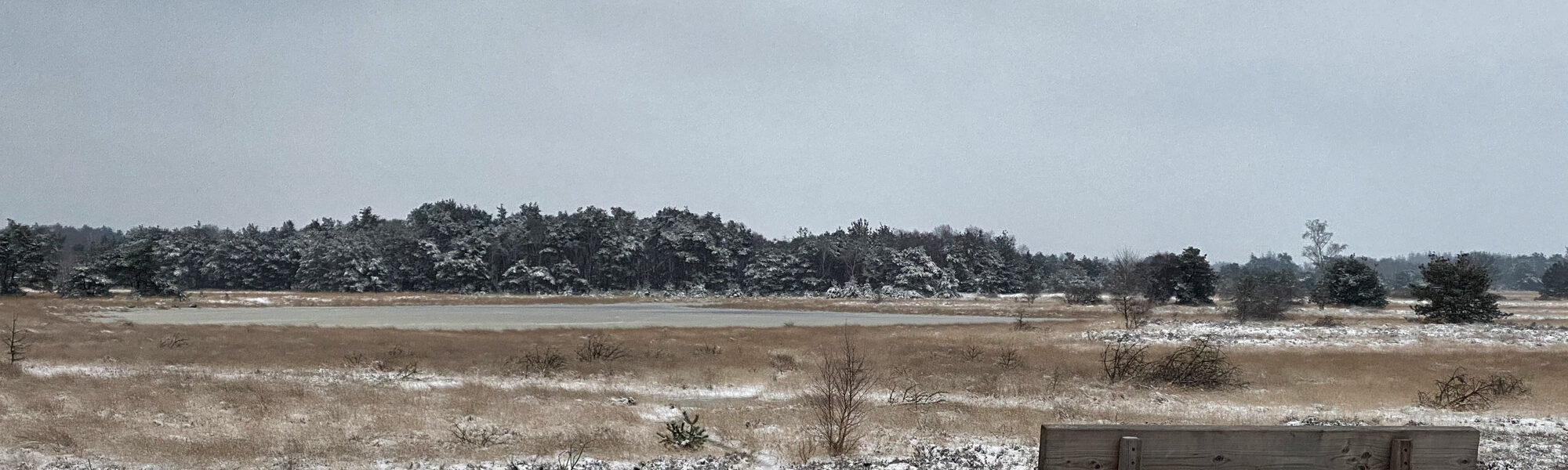 Wandelen in Noord-Brabant: Heide en vennen route in Geldrop-Mierlo, in de sneeuw