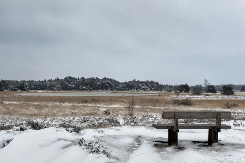 Wandelen in Noord-Brabant: Heide en vennen route in Geldrop-Mierlo, in de sneeuw