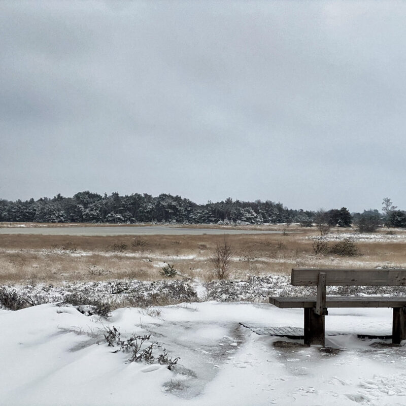 Wandelen in Noord-Brabant: Heide en vennen route in Geldrop-Mierlo, in de sneeuw