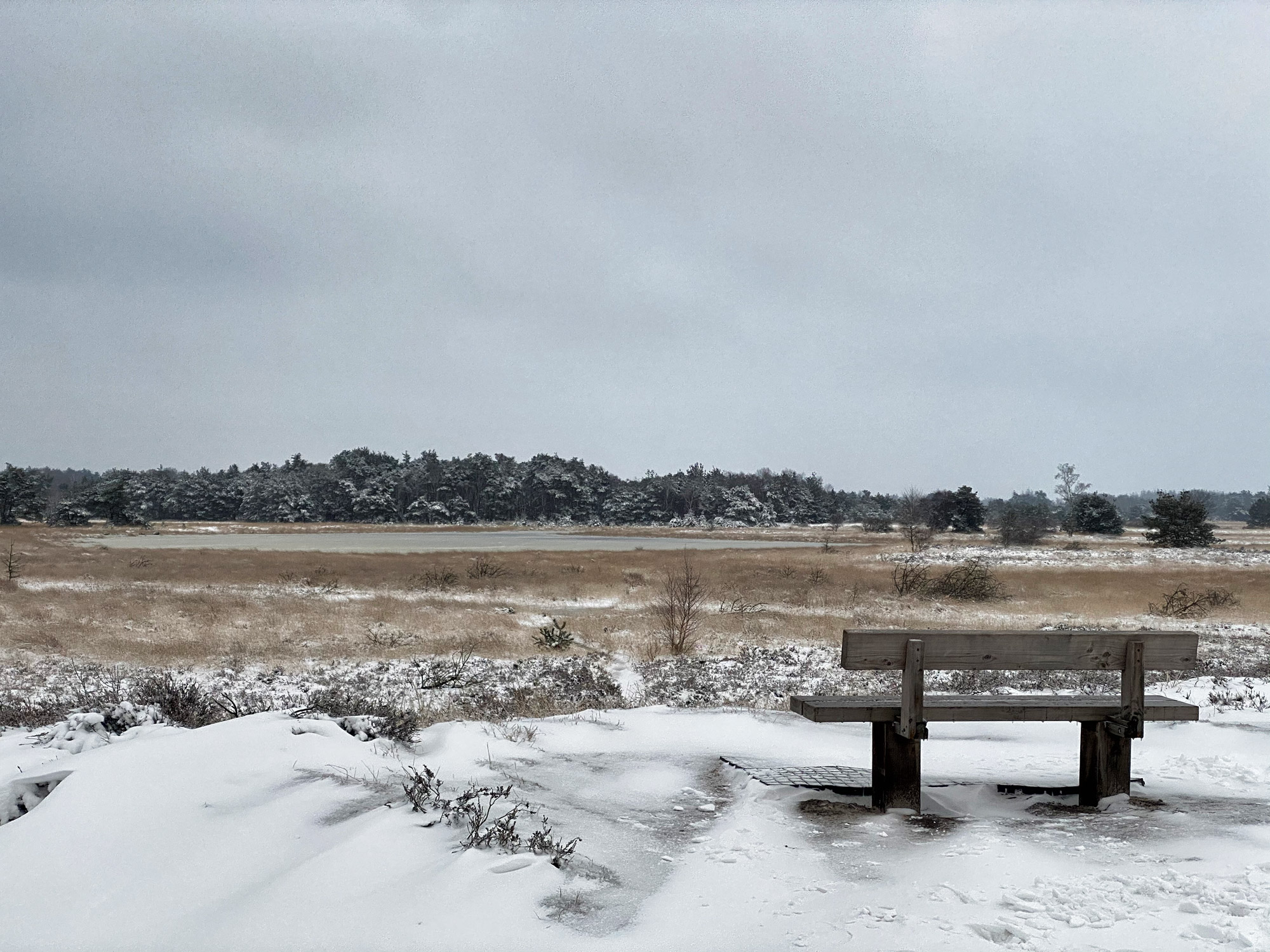 Wandelen in Noord-Brabant: Heide en vennen route in Geldrop-Mierlo, in de sneeuw