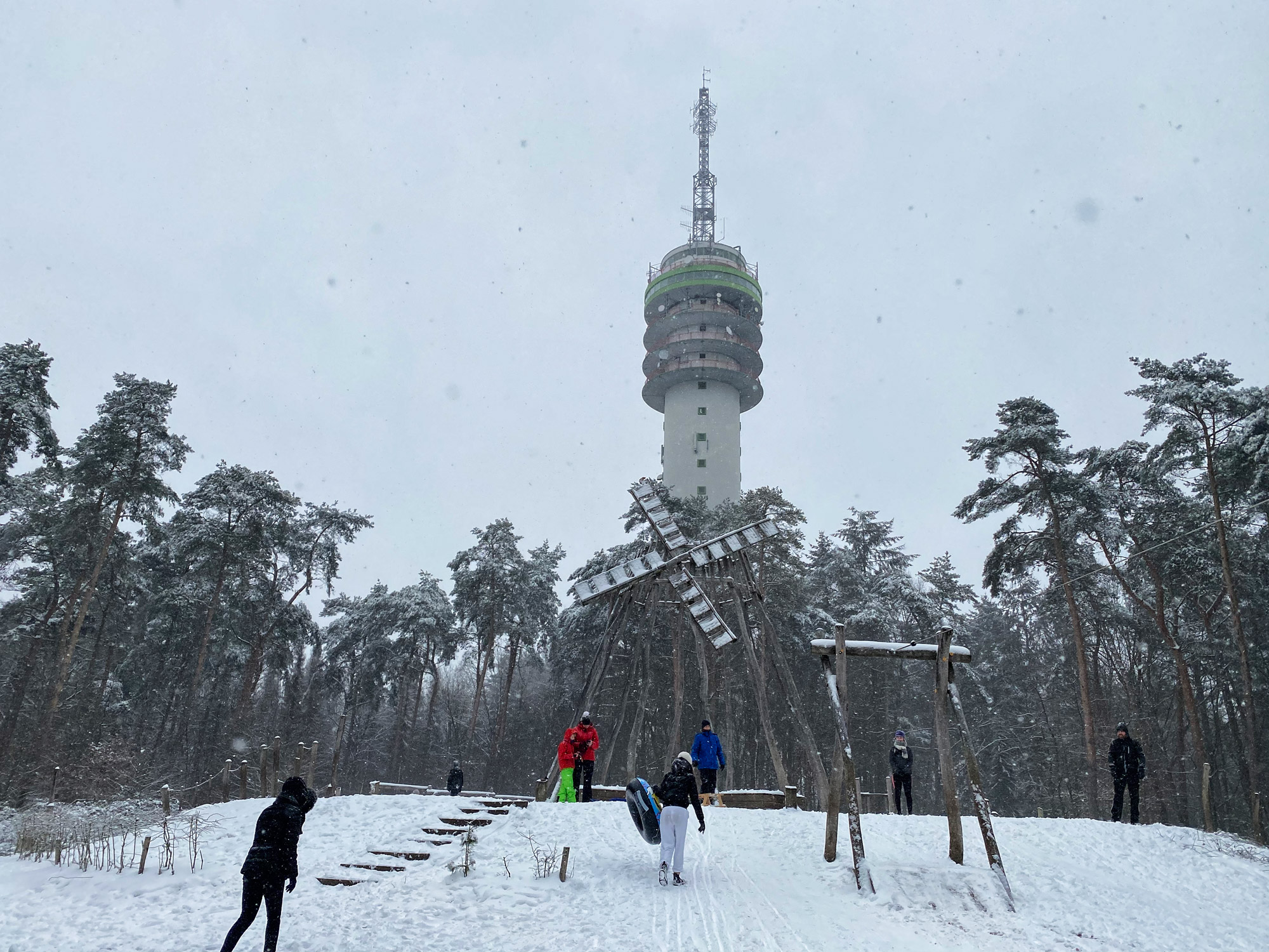 Wandelen in Noord-Brabant: Heide en vennen route in Geldrop-Mierlo, in de sneeuw