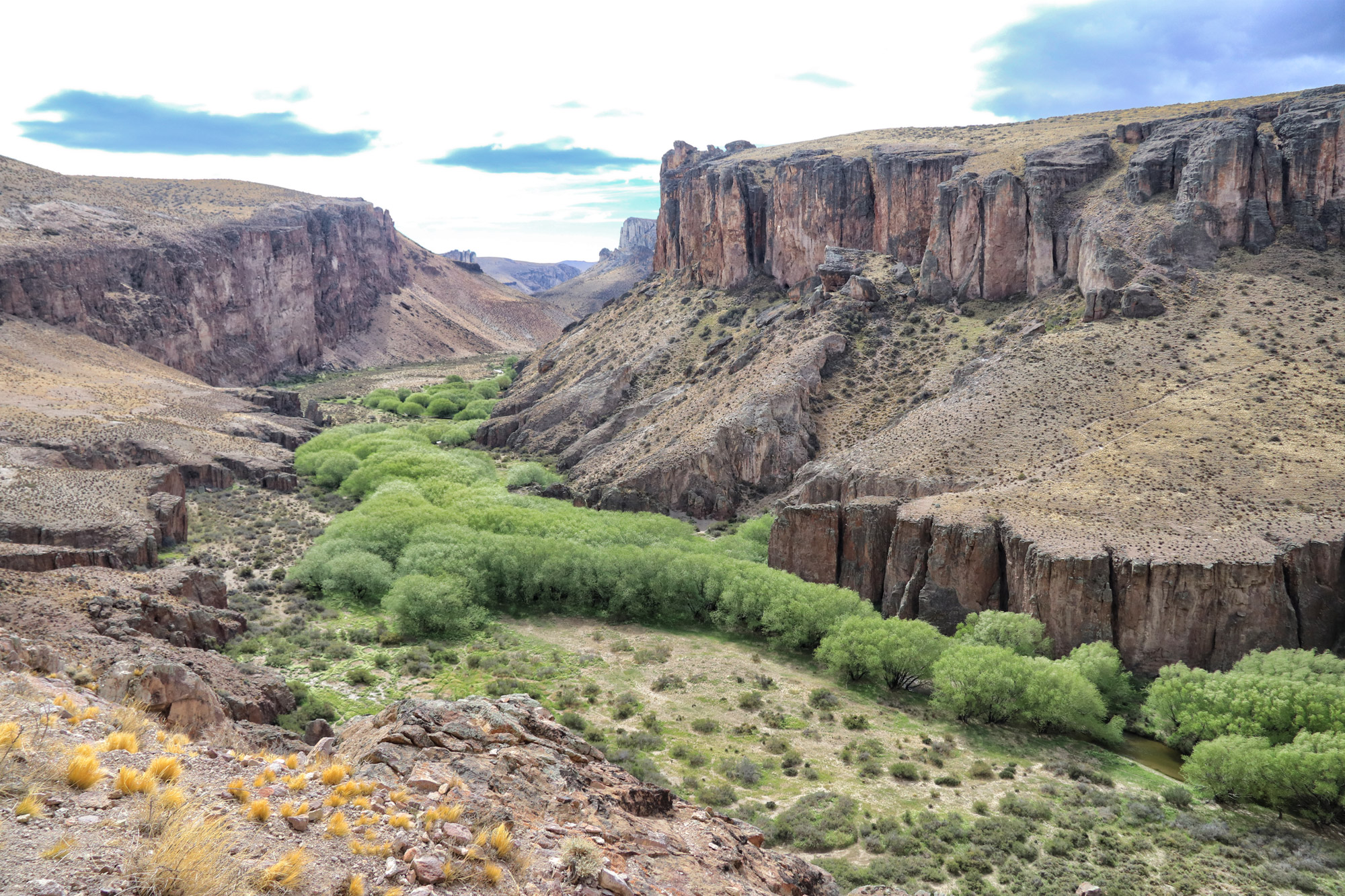 Cueva de las Manos, Werelderfgoed in Argentinië