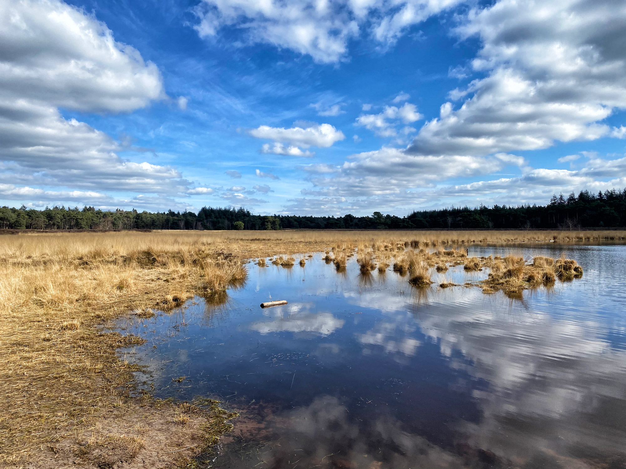 Wandelen in Noord-Brabant: Langs de vennen van de Stiphoutse Bossen