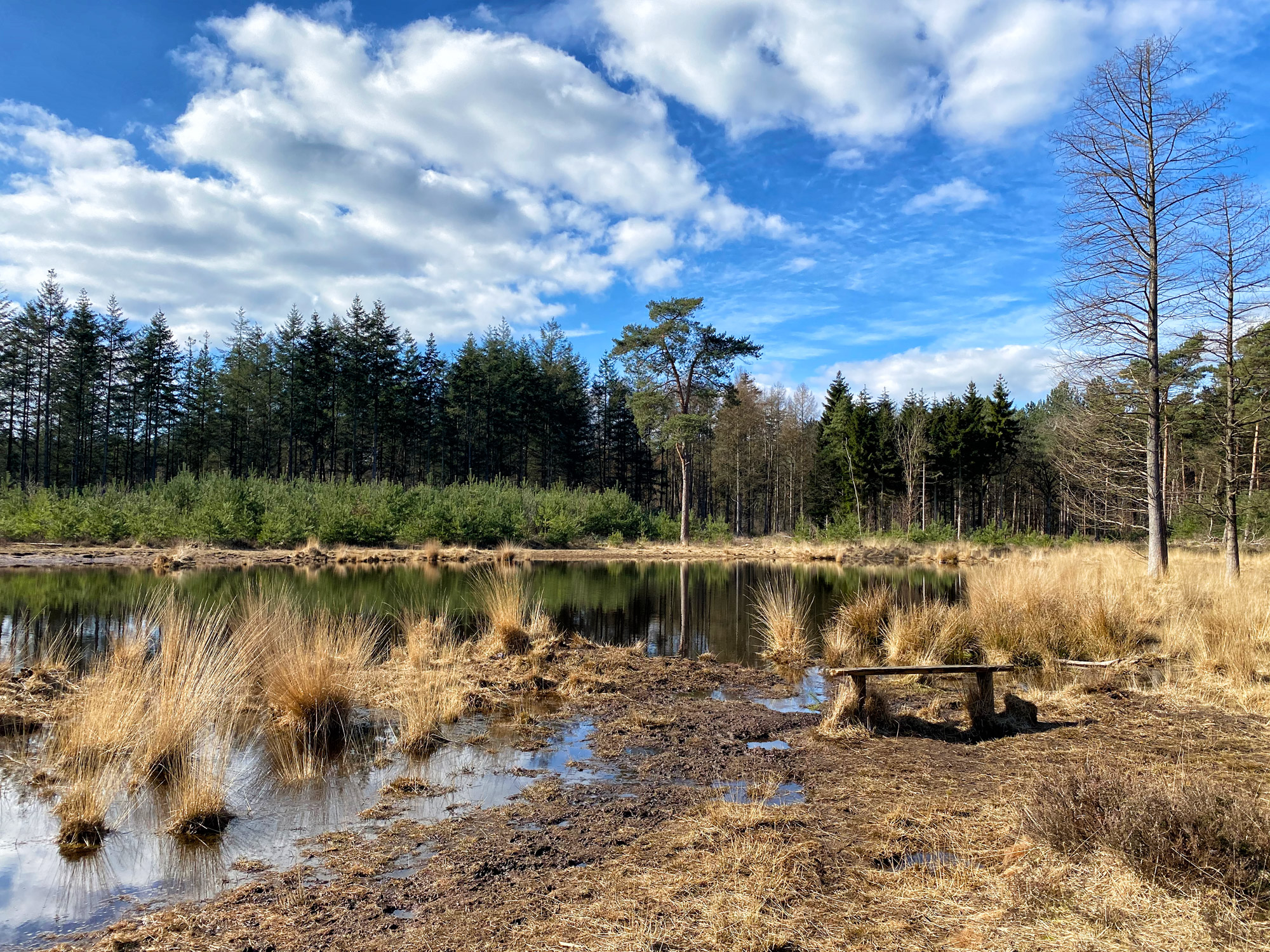 Wandelen in Noord-Brabant: Langs de vennen van de Stiphoutse Bossen