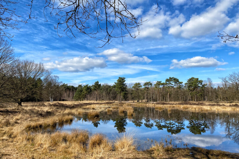 Wandelen in Noord-Brabant: Langs de vennen van de Stiphoutse Bossen