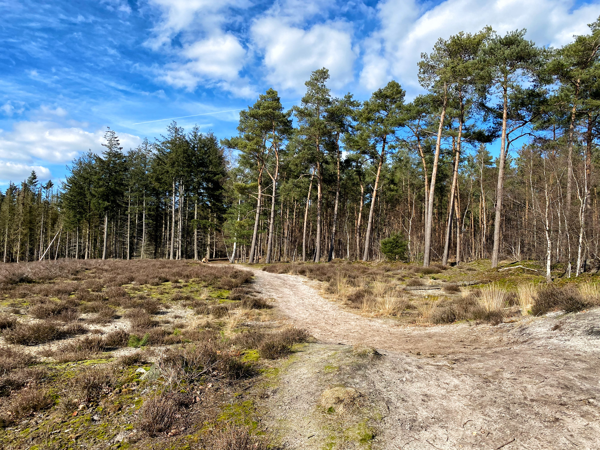 Wandelen in Noord-Brabant: Langs de vennen van de Stiphoutse Bossen