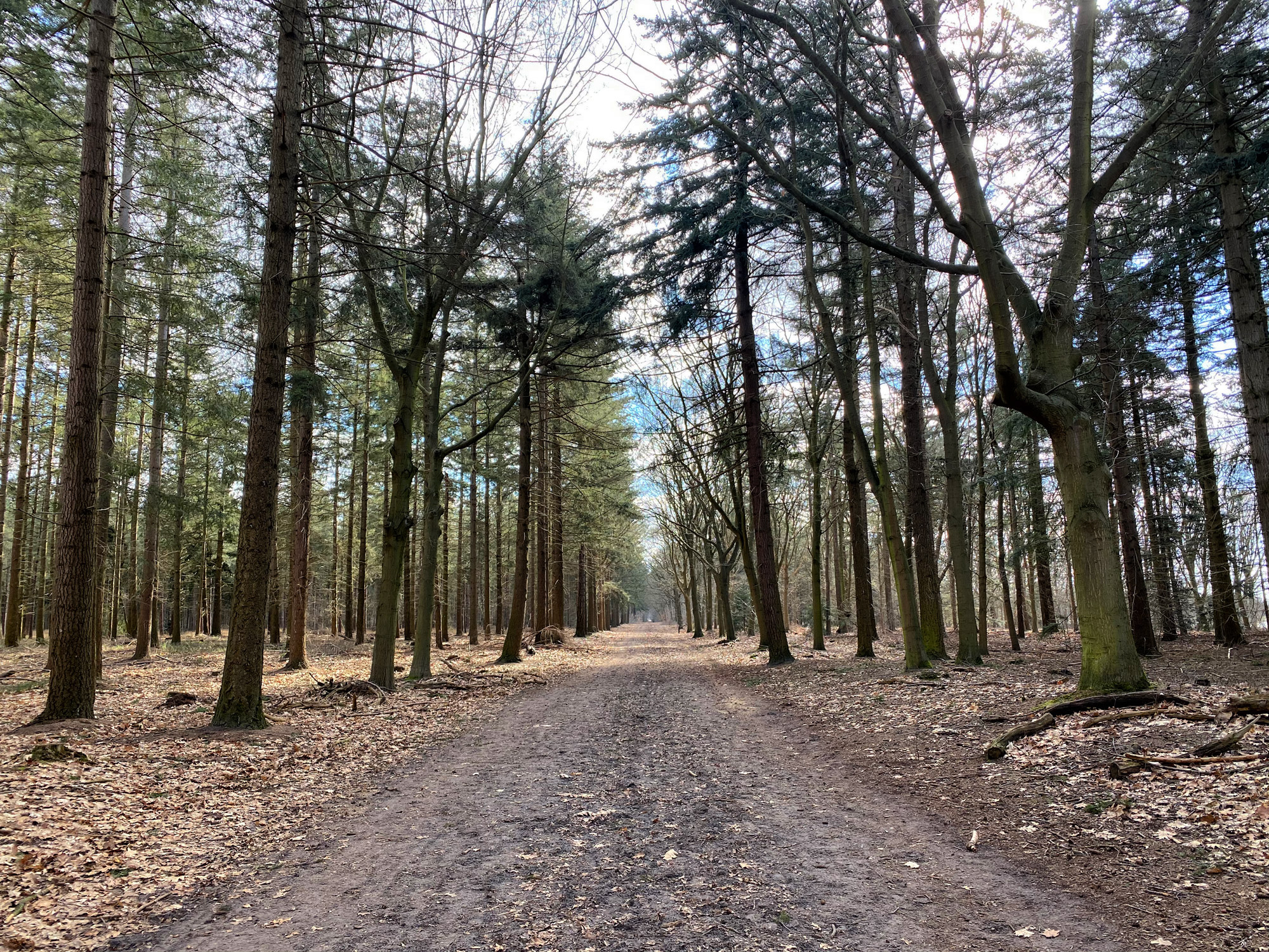 Wandelen in Noord-Brabant: Langs de vennen van de Stiphoutse Bossen