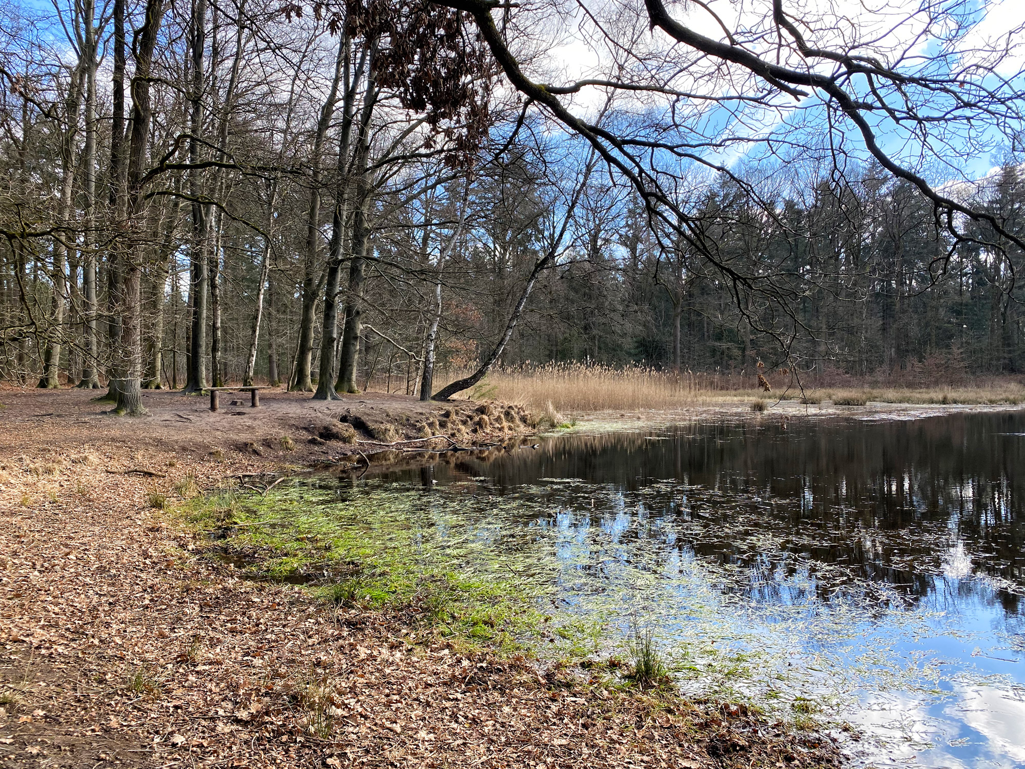 Wandelen in Noord-Brabant: Langs de vennen van de Stiphoutse Bossen