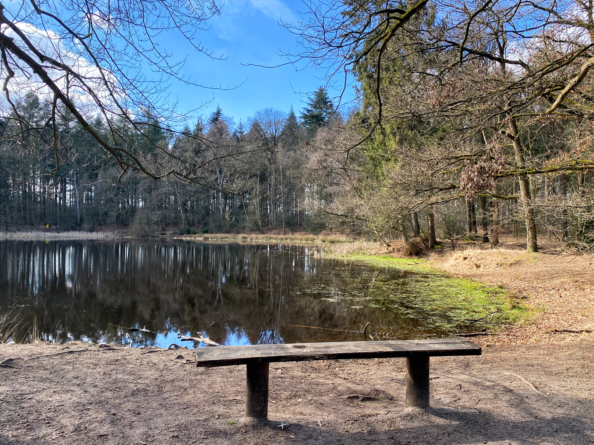 Wandelen in Noord-Brabant: Langs de vennen van de Stiphoutse Bossen