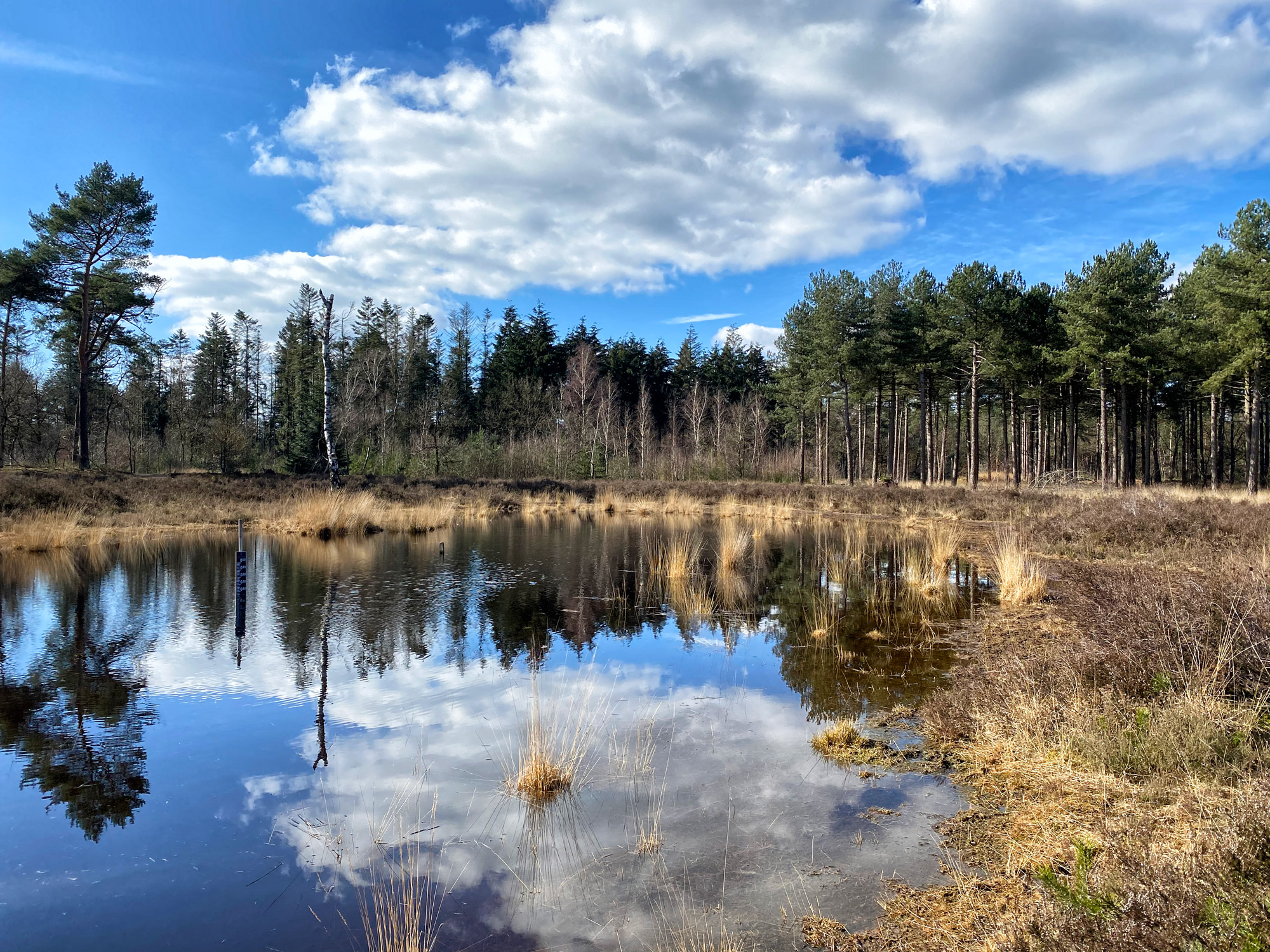 Wandelen in Noord-Brabant: Langs de vennen van de Stiphoutse Bossen