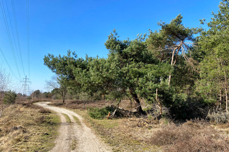 Wandelen in Noord-Brabant: Stratumse Heide & Groote Heide