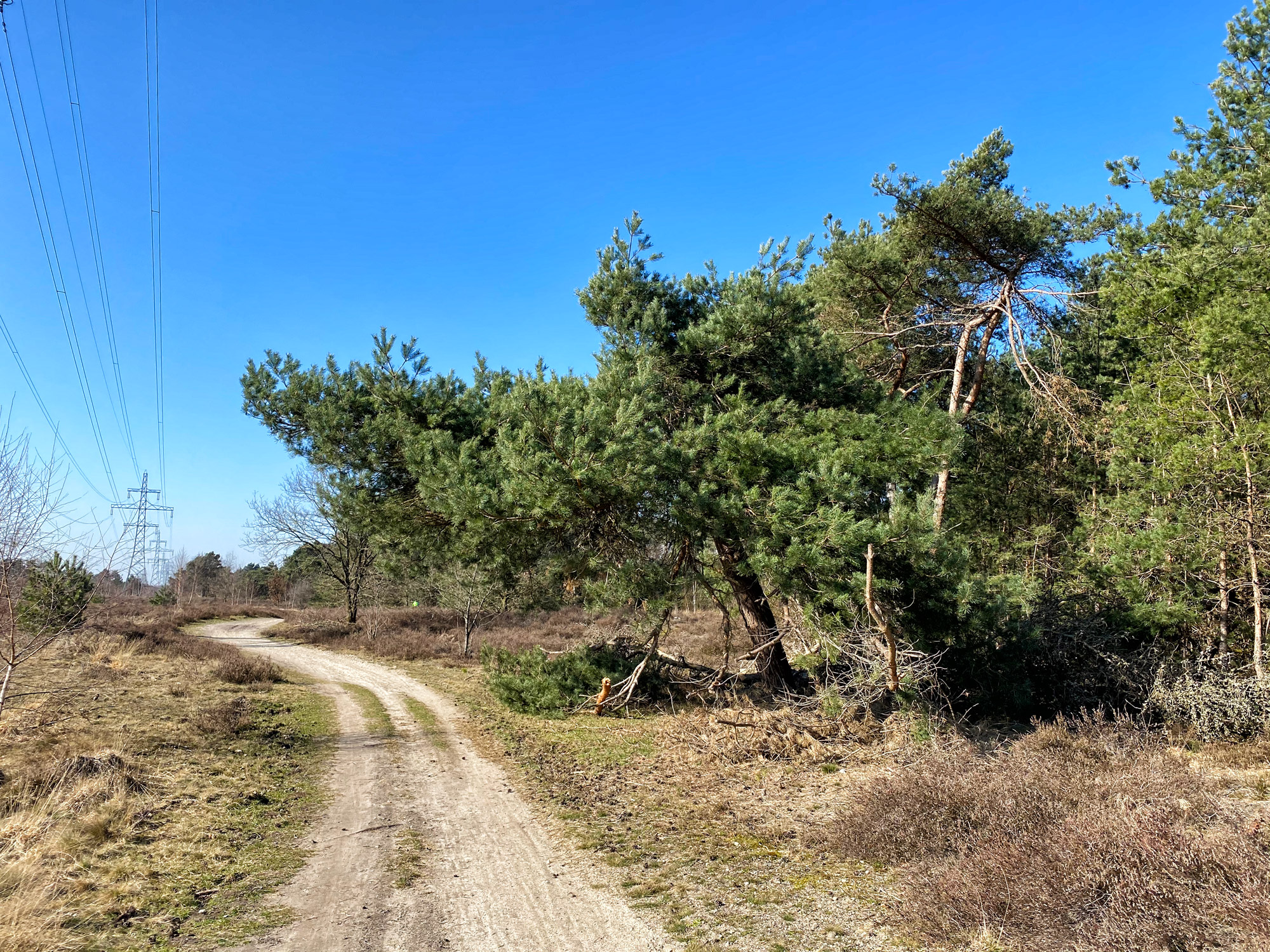 Wandelen in Noord-Brabant: Stratumse Heide & Groote Heide