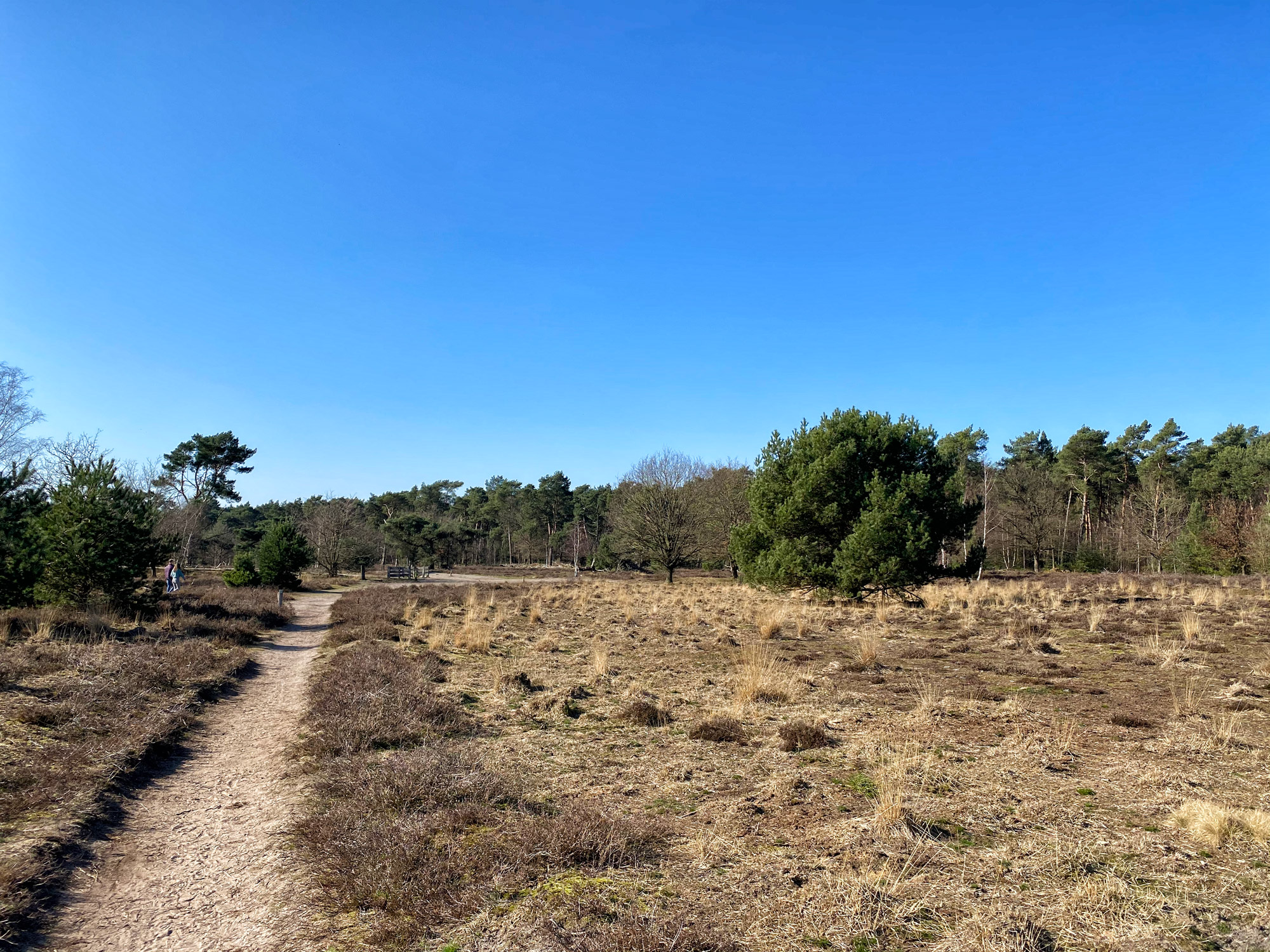 Wandelen in Noord-Brabant: Stratumse Heide & Groote Heide