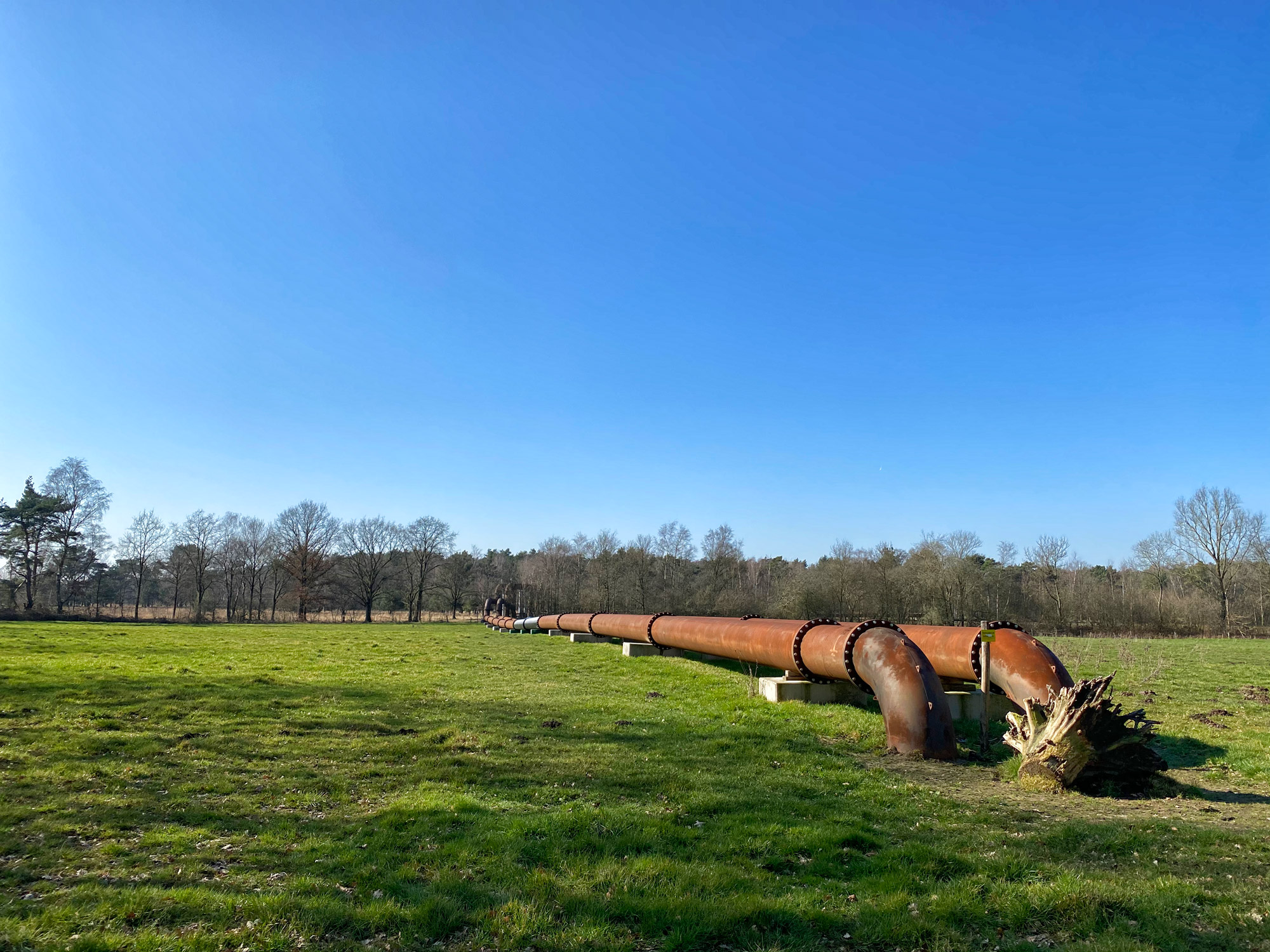 Wandelen in Noord-Brabant: Stratumse Heide & Groote Heide