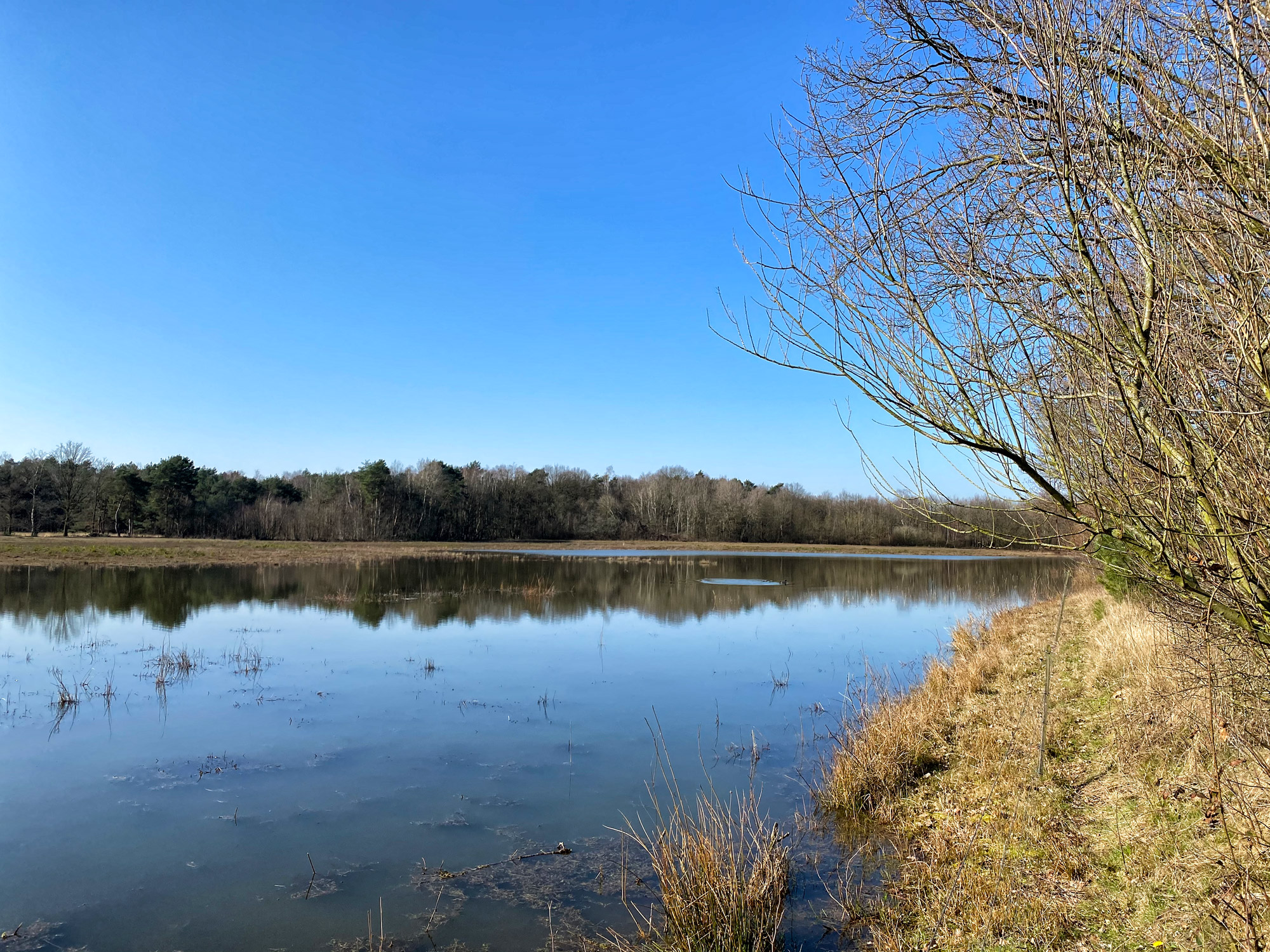 Wandelen in Noord-Brabant: Stratumse Heide & Groote Heide