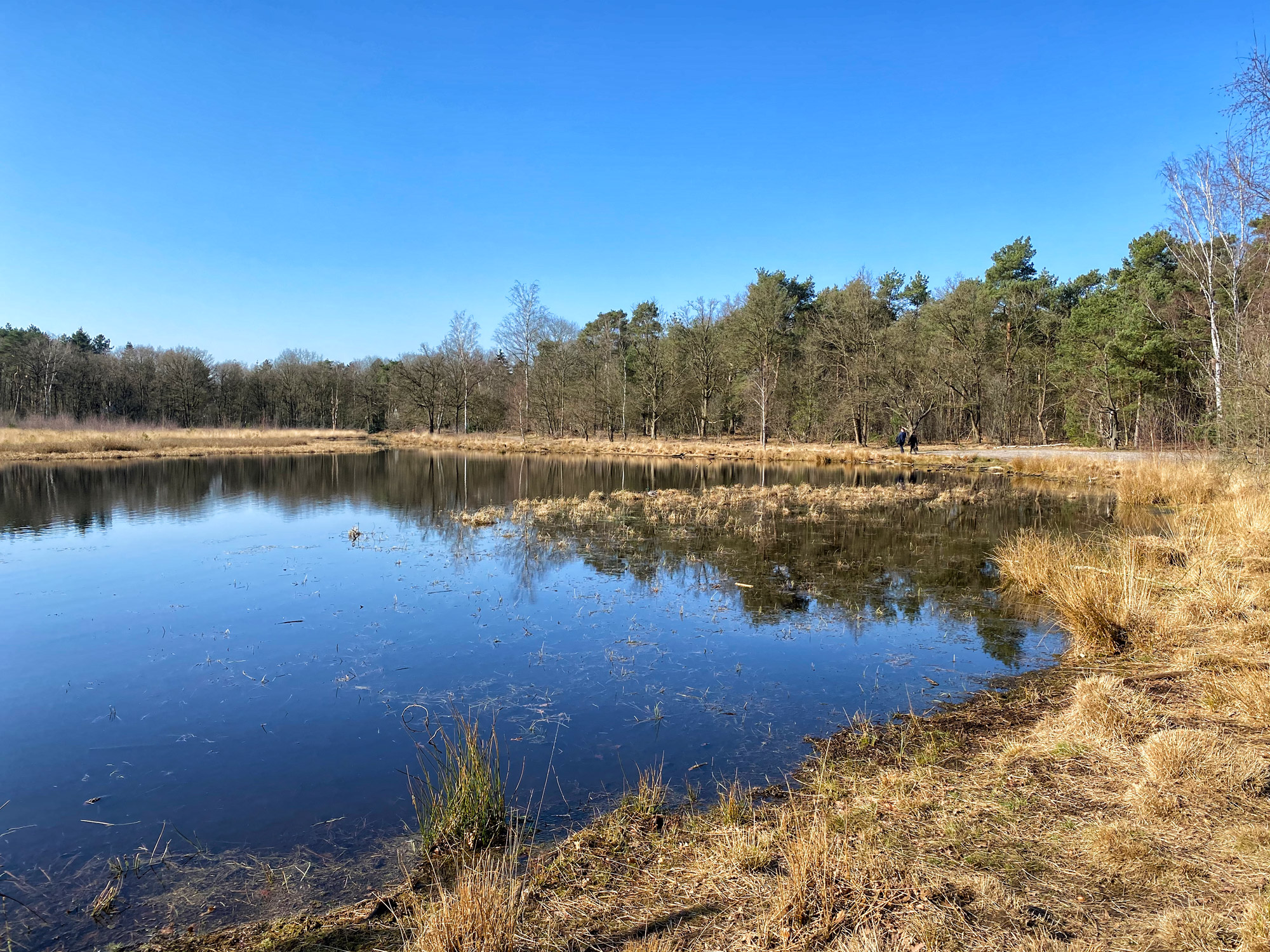 Wandelen in Noord-Brabant: Stratumse Heide & Groote Heide