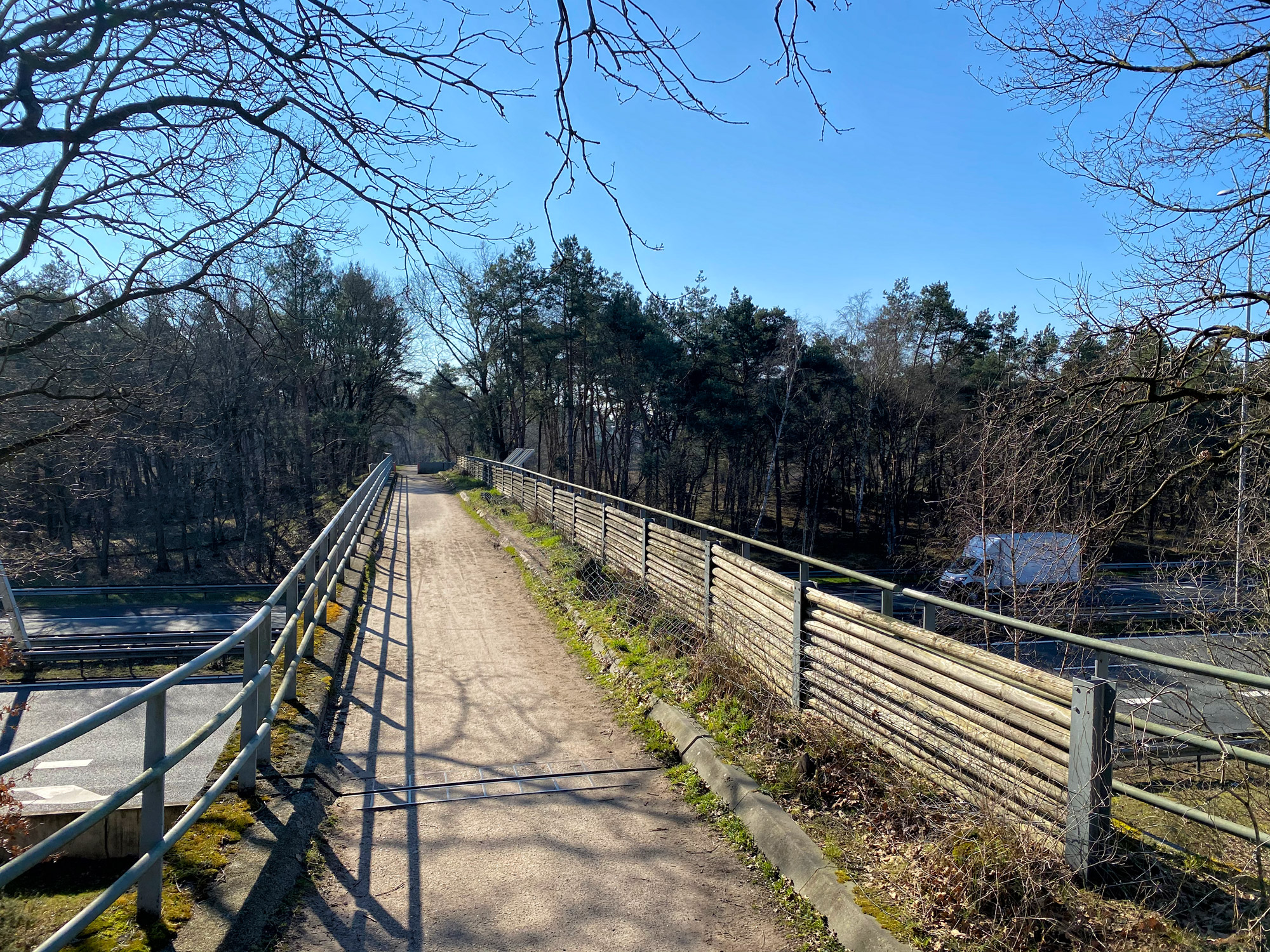 Wandelen in Noord-Brabant: Stratumse Heide & Groote Heide