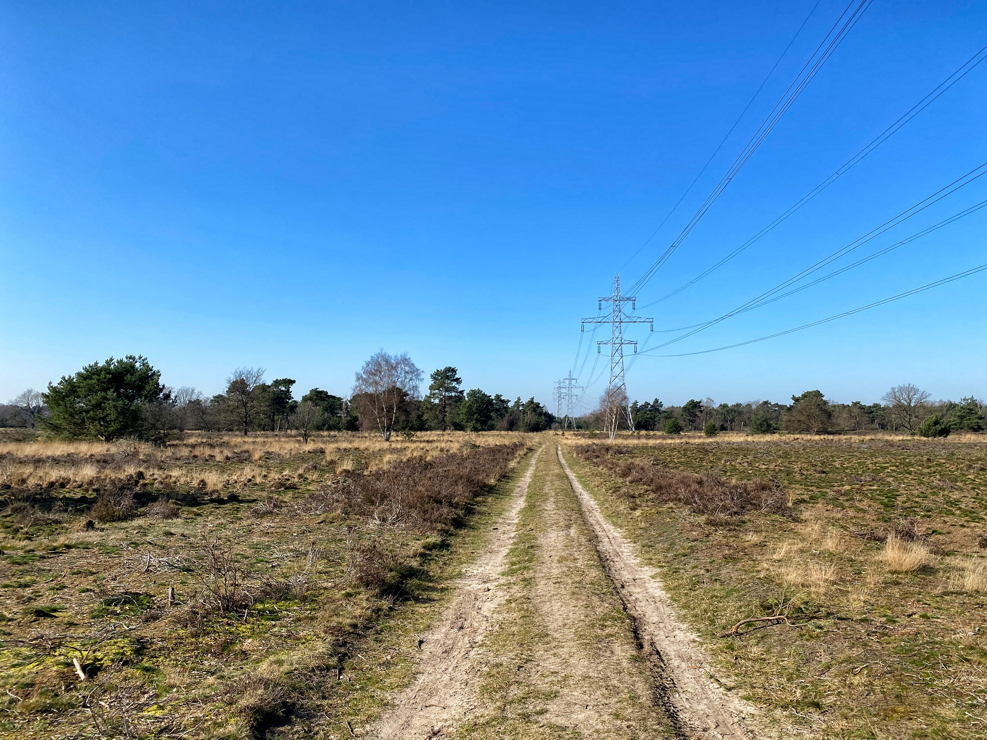 Wandelen in Noord-Brabant: Stratumse Heide & Groote Heide