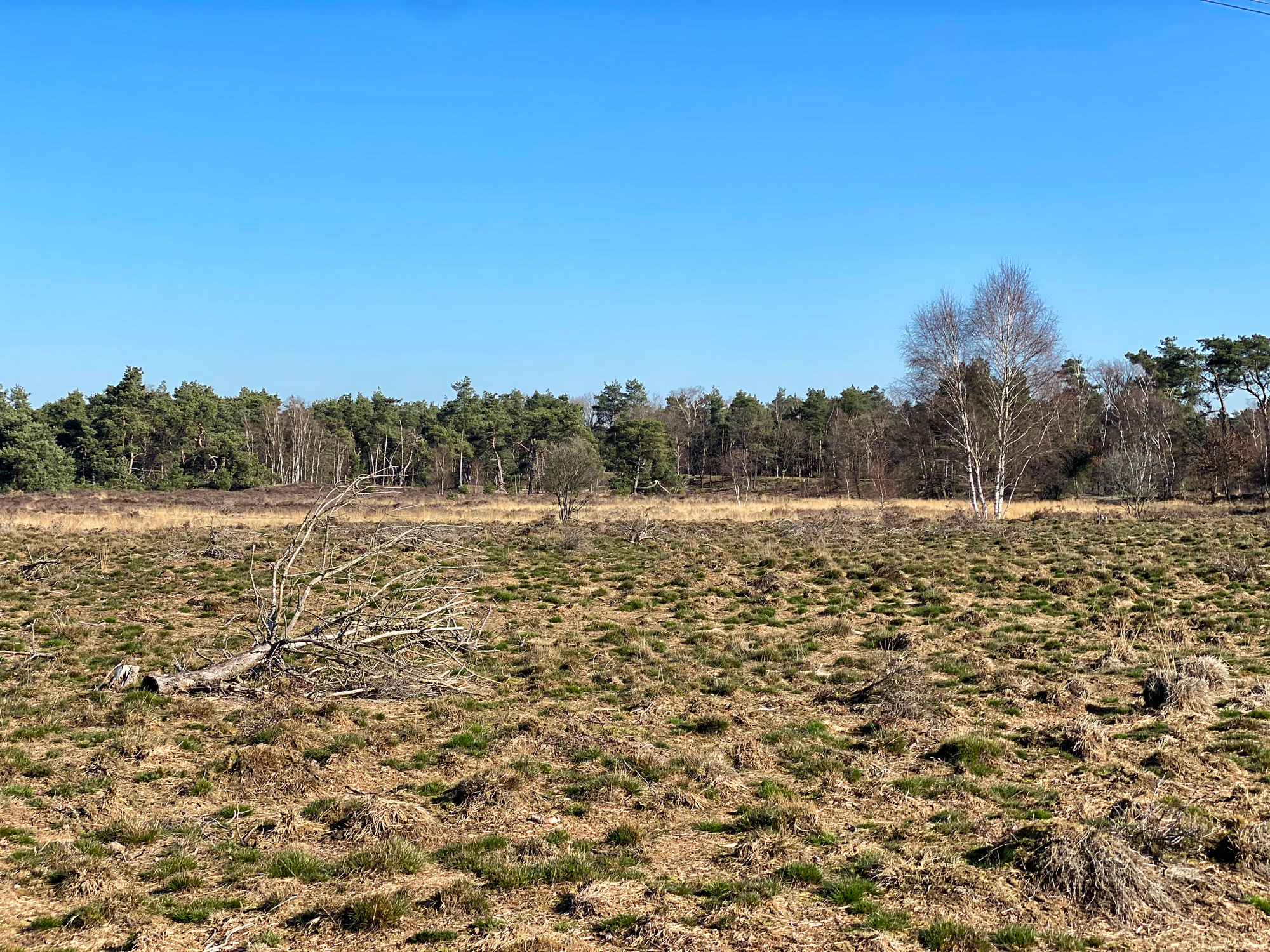 Wandelen in Noord-Brabant: Stratumse Heide & Groote Heide