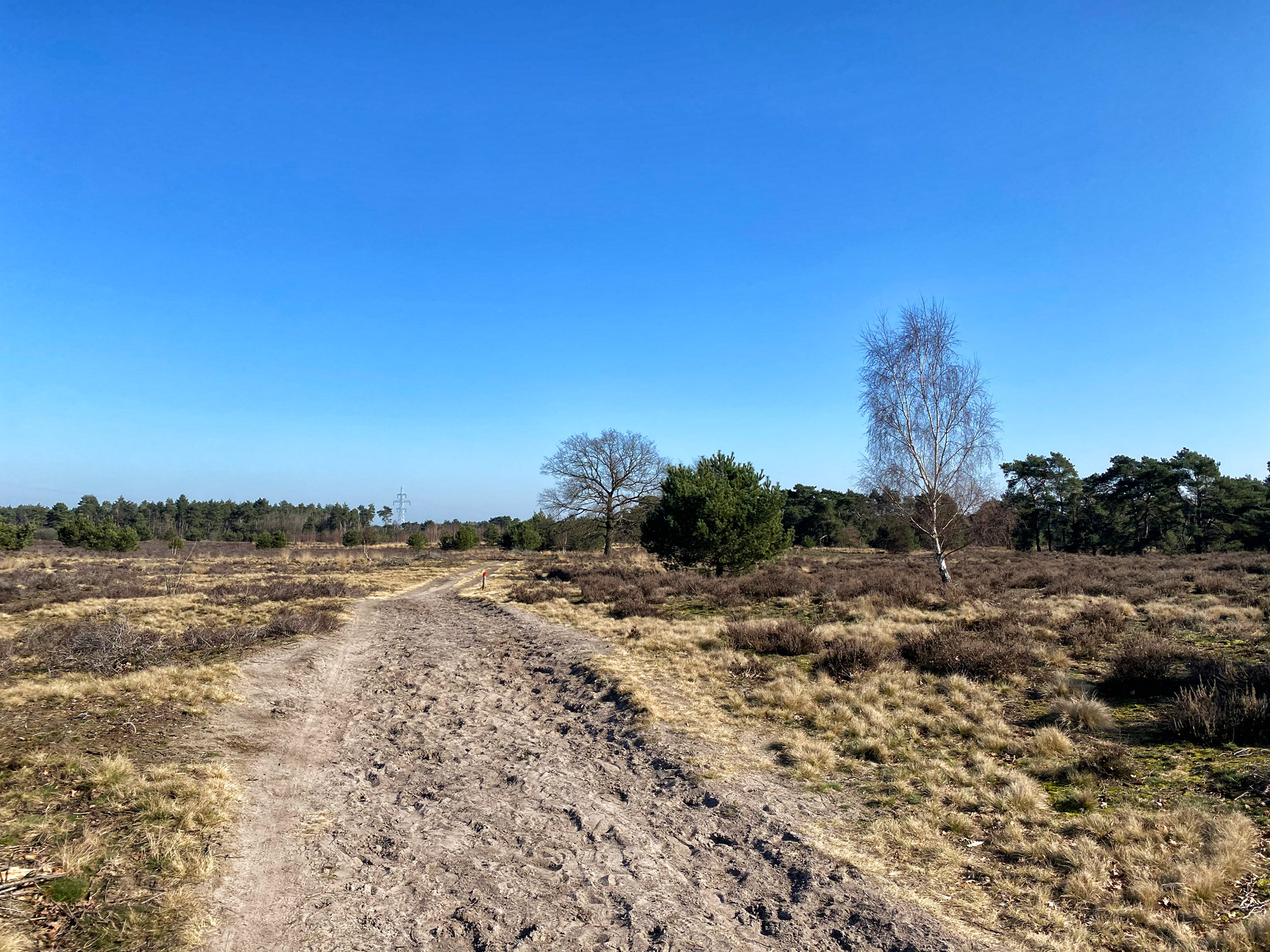 Wandelen in Noord-Brabant: Stratumse Heide & Groote Heide